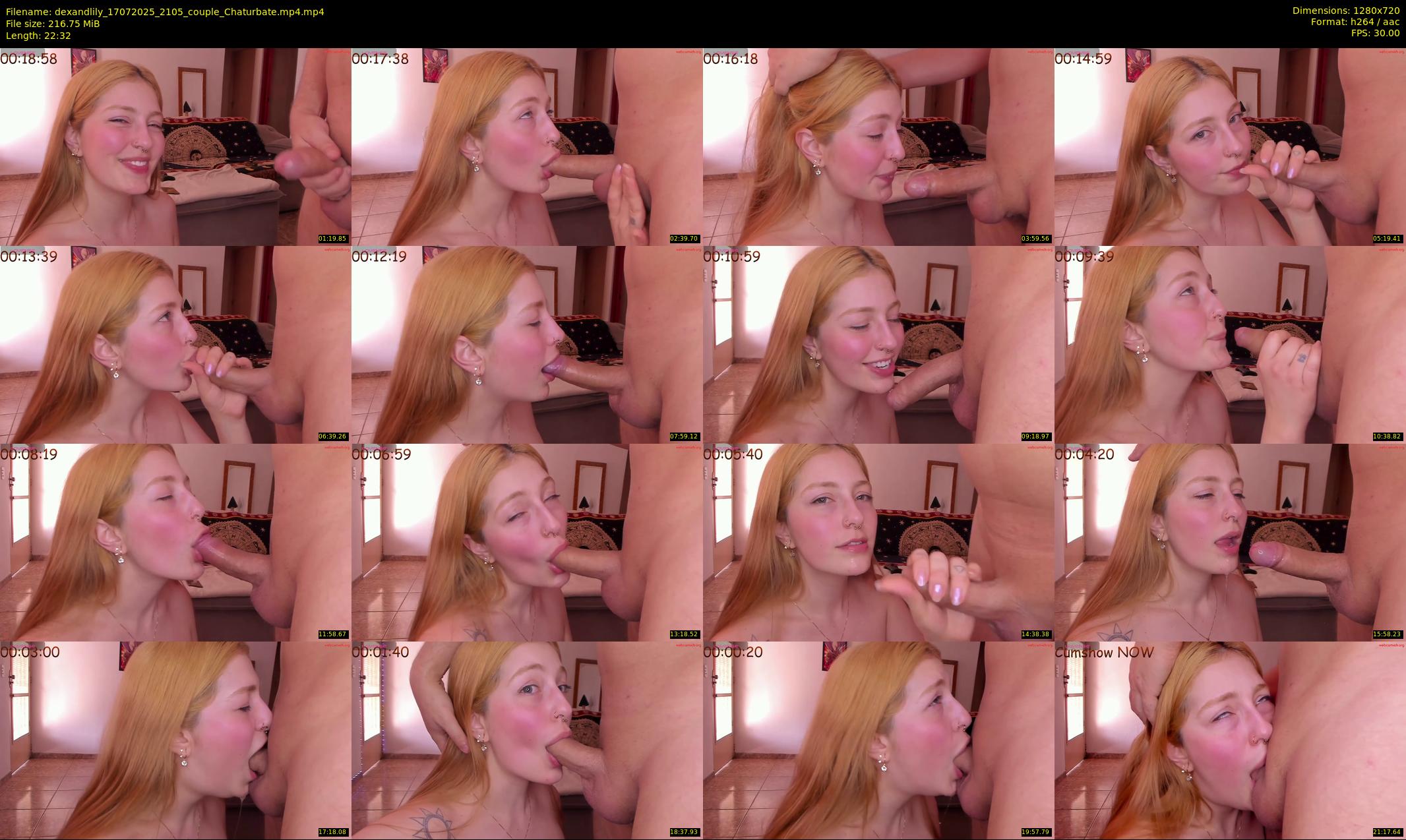 dexandlily — 23 minute Chaturbate couple cam show recording, 720p, Jul 17, 2025
