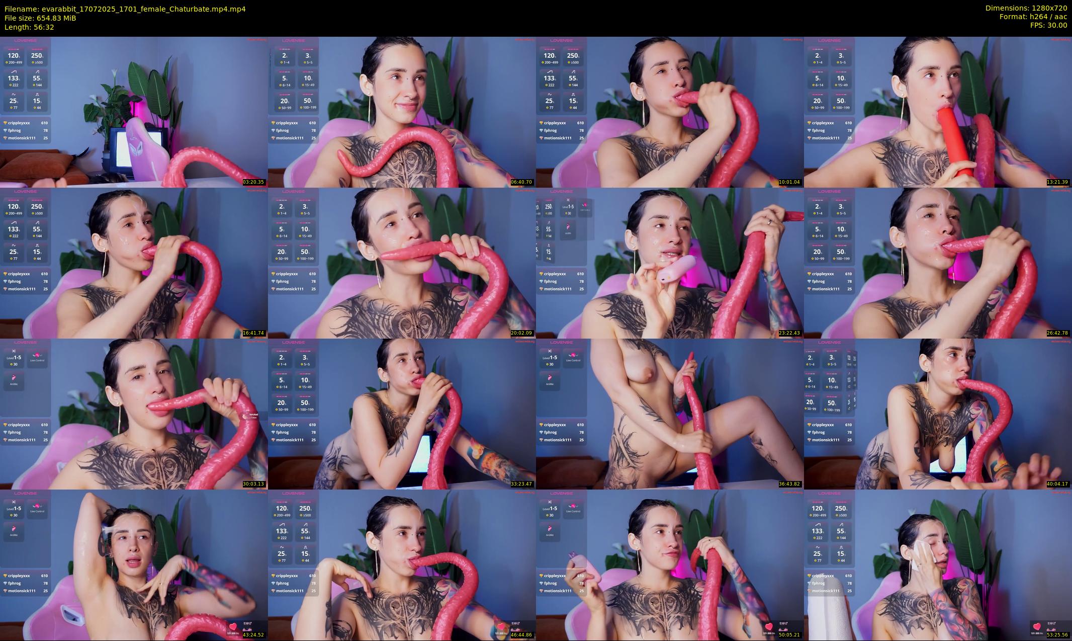 evarabbit — 57 minute Chaturbate female cam show recording, 720p, Jul 17, 2025
