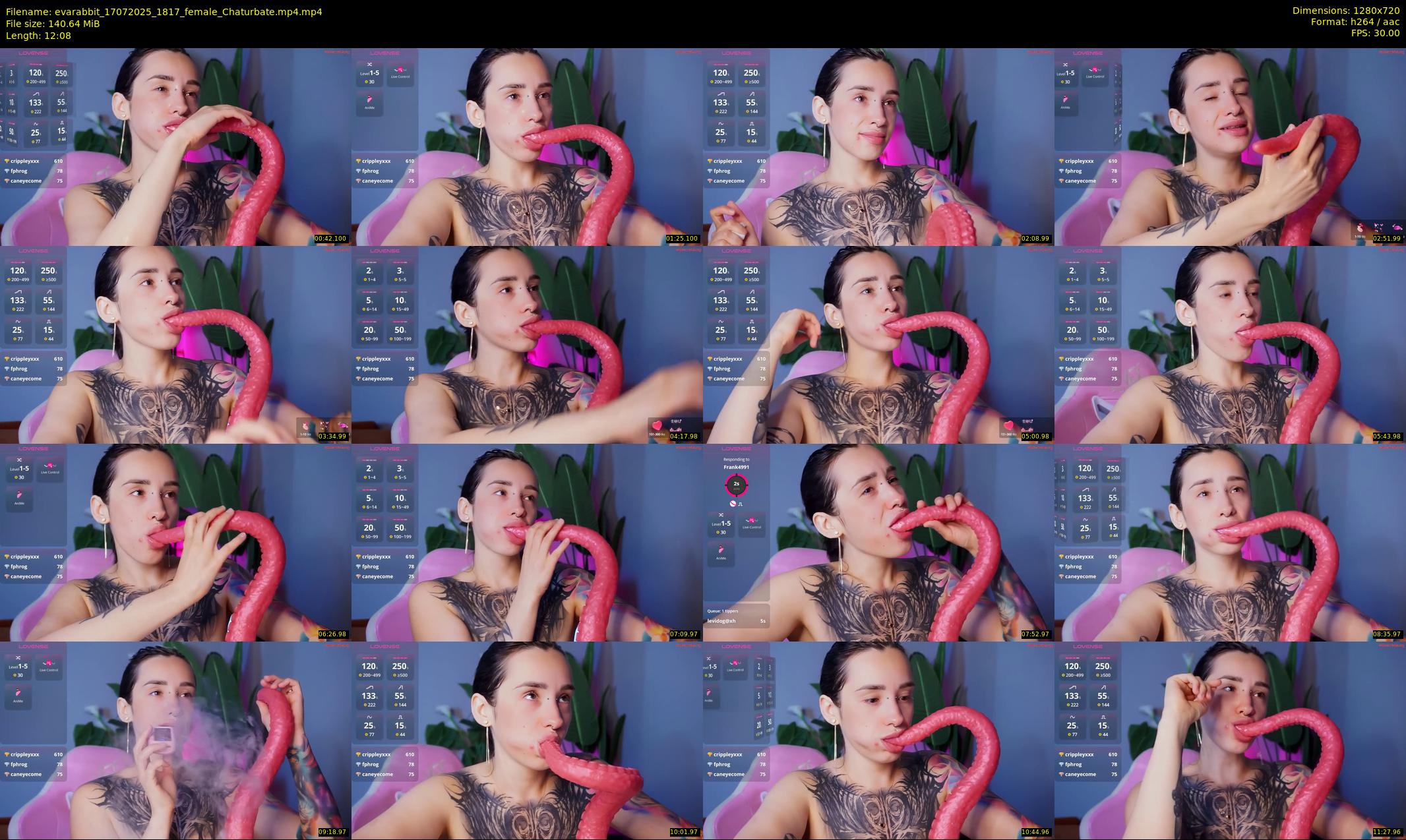 evarabbit — 13 minute Chaturbate female cam show recording, 720p, Jul 17, 2025