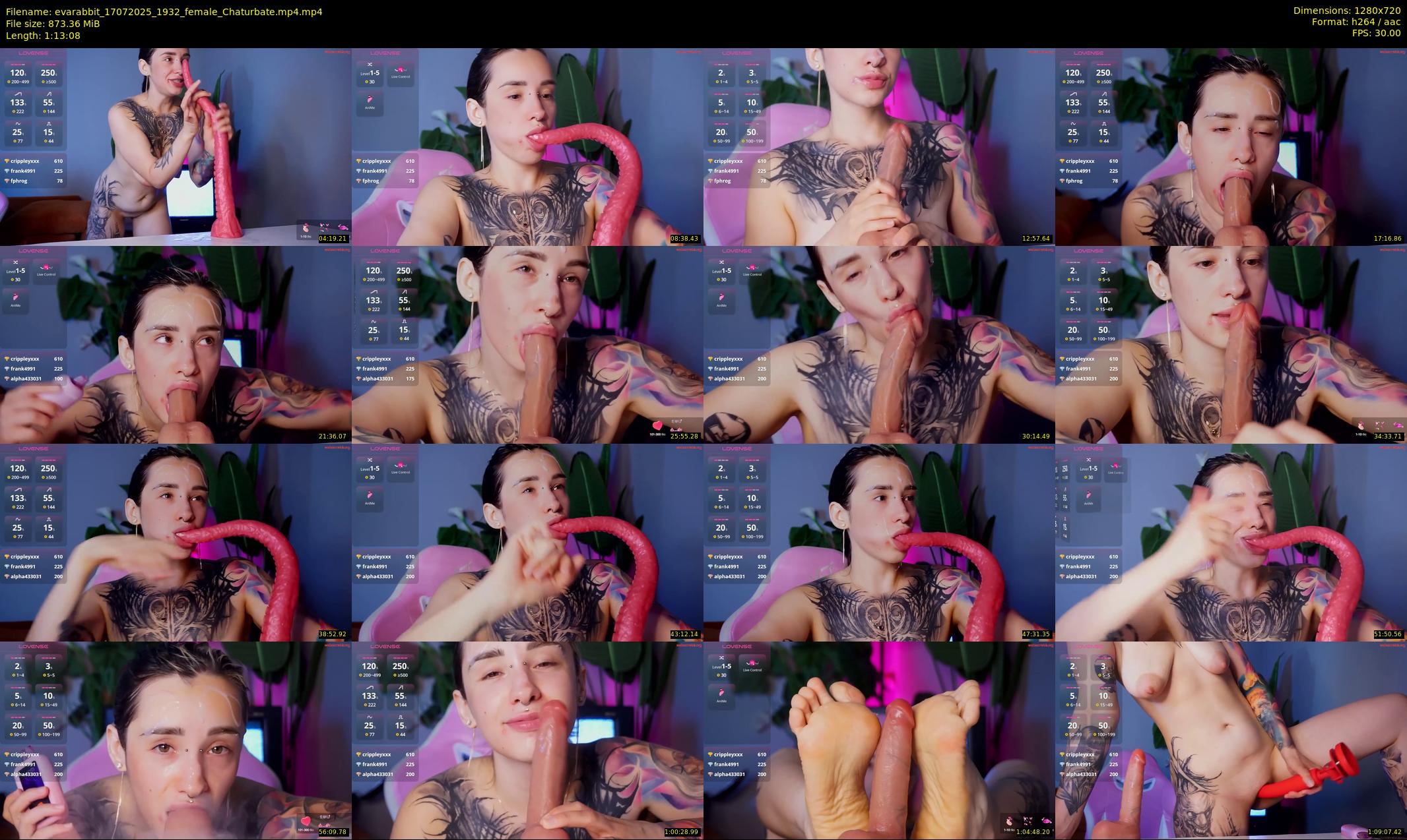 evarabbit — 74 minute Chaturbate female cam show recording, 720p, Jul 17, 2025