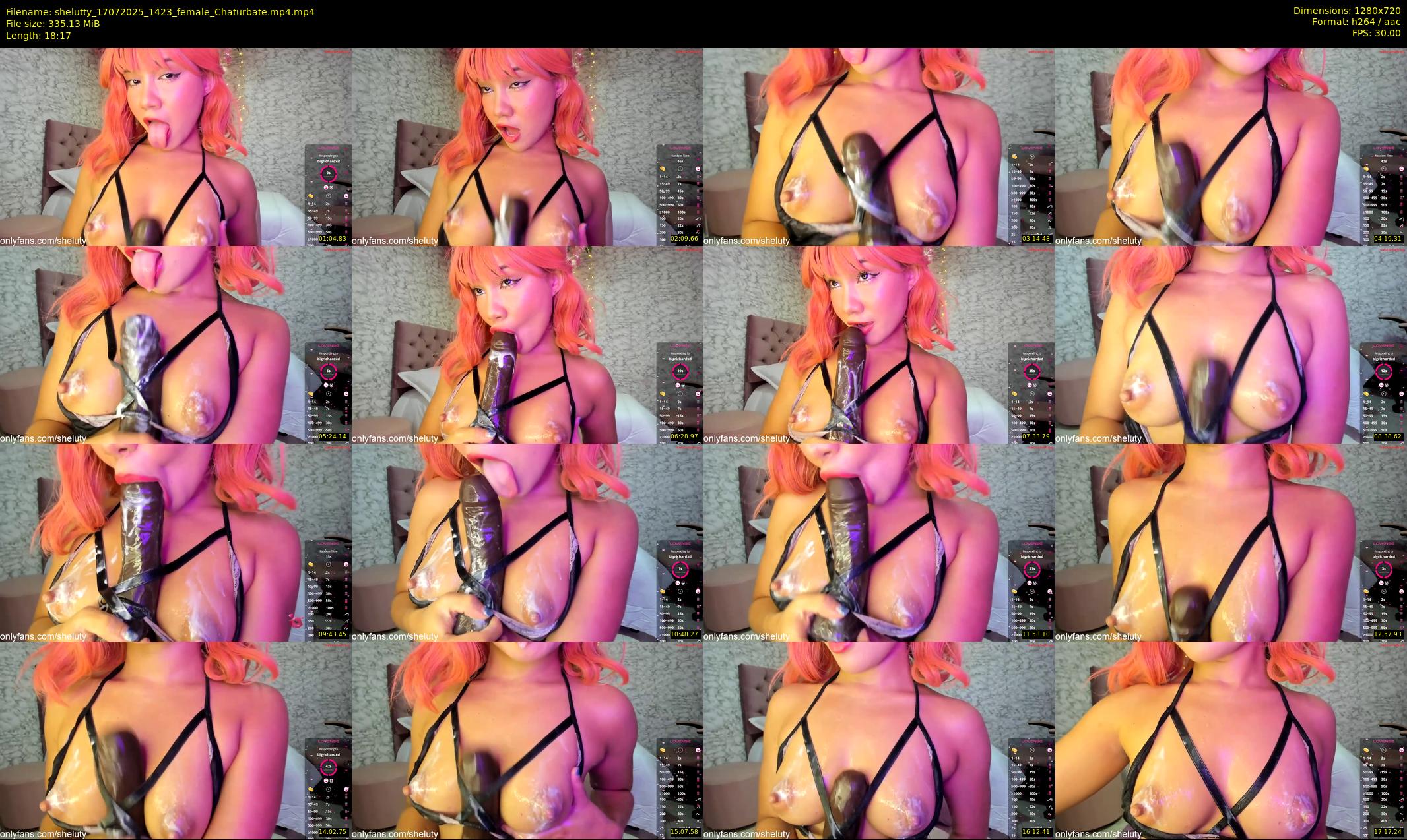 shelutty — 19 minute Chaturbate female cam show recording, 720p, Jul 17, 2025