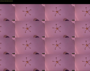 uwunikaa — 3 minute Chaturbate female cam show recording, 720p, Jul 17, 2025