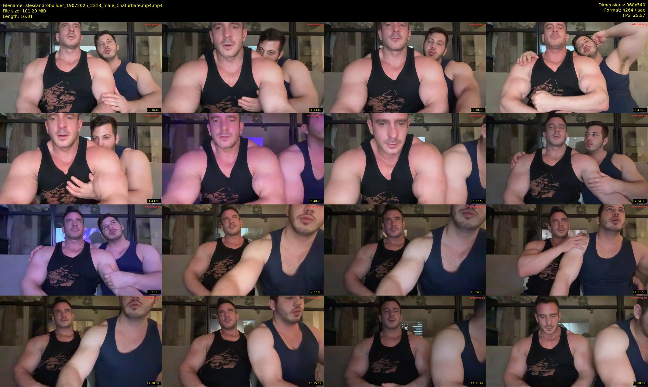 alessandrobuilder — 17 minute Chaturbate couple cam show recording, 480p, Jul 19, 2025