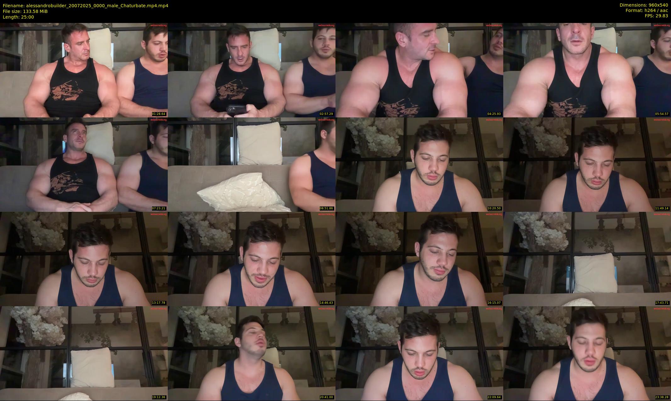 alessandrobuilder — 25 minute Chaturbate couple cam show recording, 480p, Jul 20, 2025