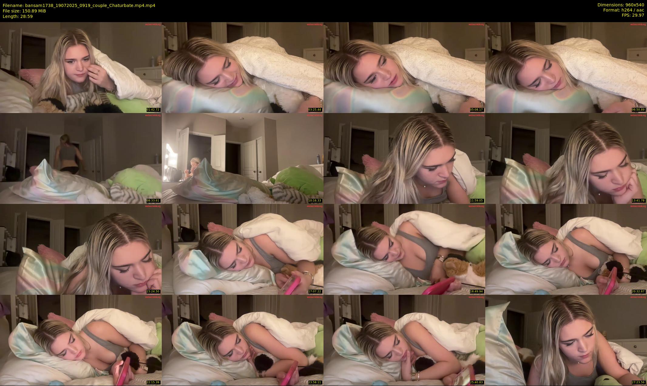 bansam1738 — 29 minute Chaturbate female cam show recording, 480p, Jul 19, 2025