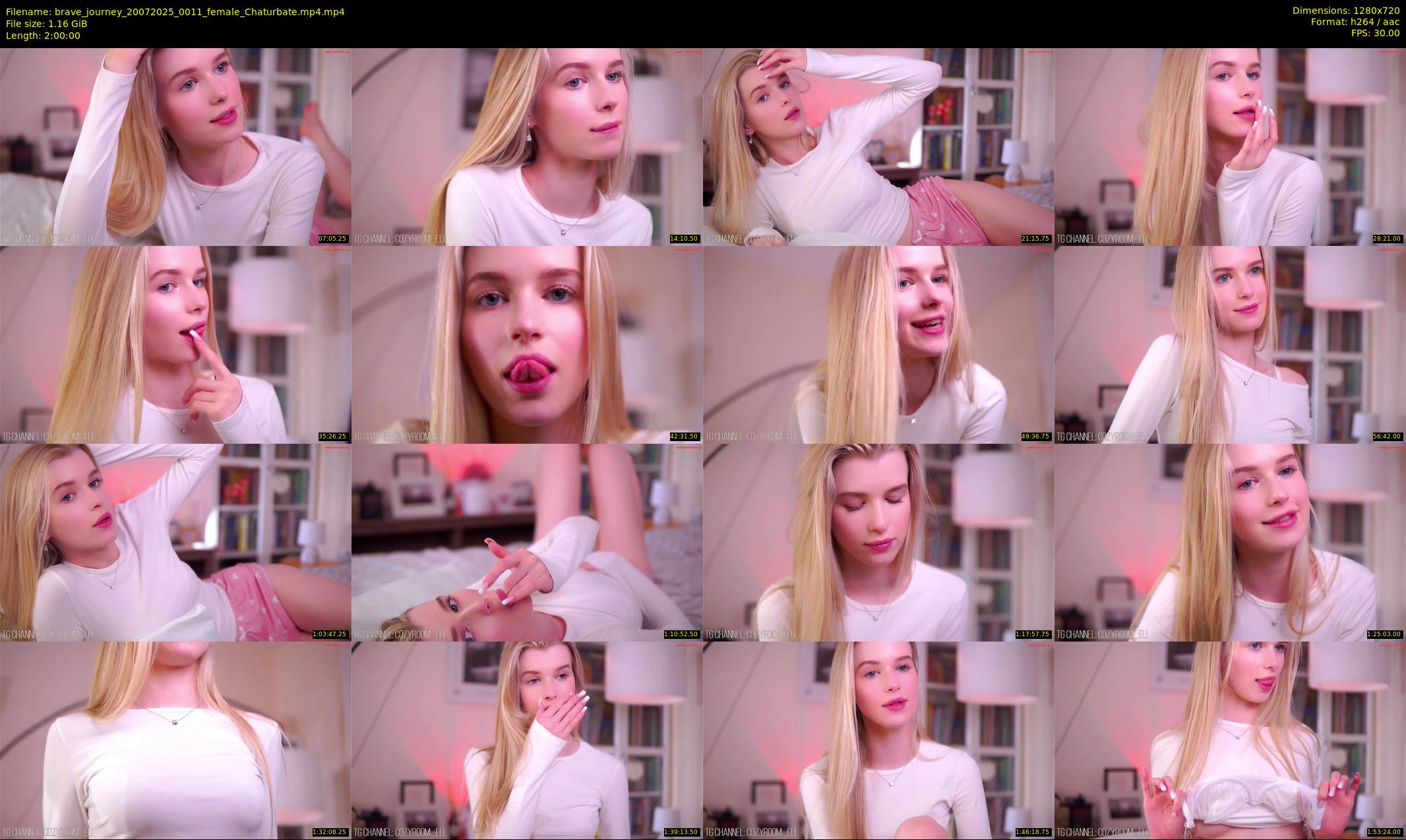 brave_journey — 120 minute Chaturbate female cam show recording, 720p, Jul 20, 2025