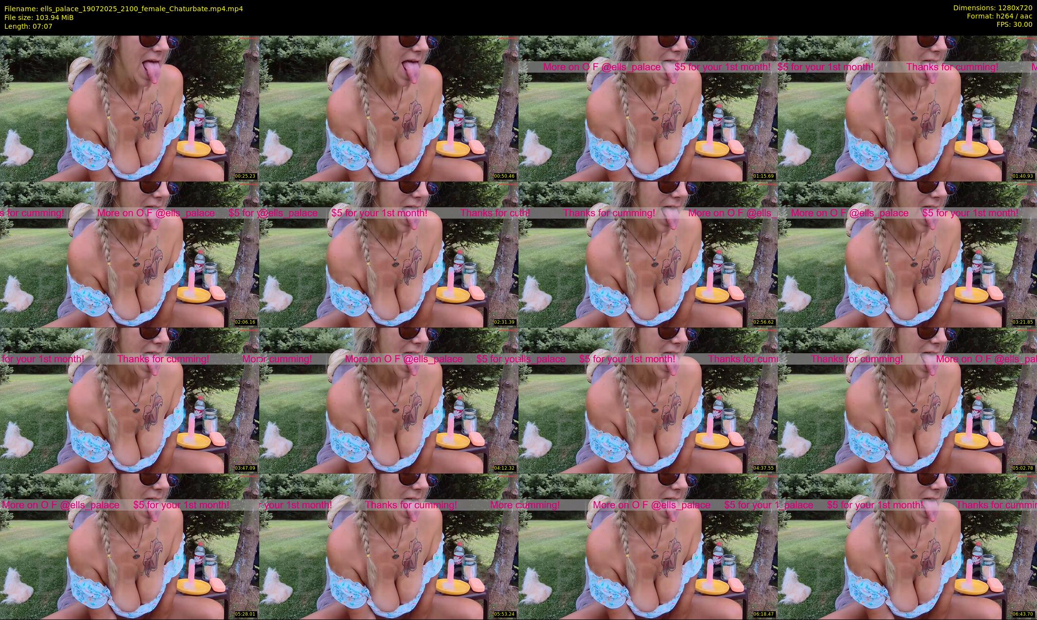 ells_palace — 8 minute Chaturbate female cam show recording, 720p, Jul 19, 2025