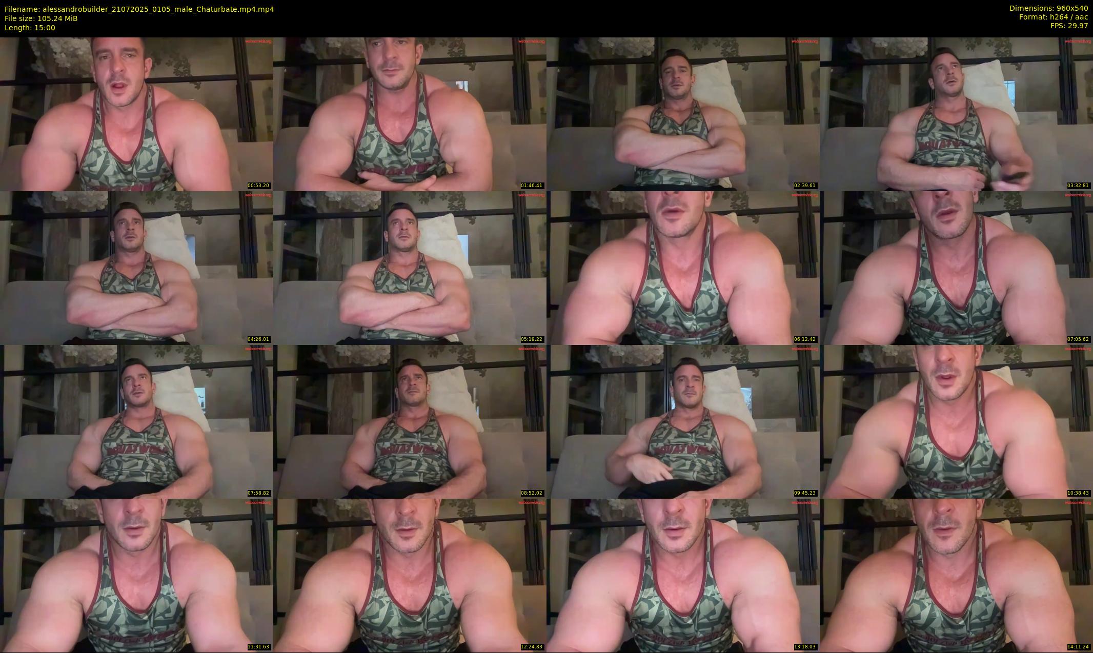 alessandrobuilder — 15 minute Chaturbate couple cam show recording, 480p, Jul 21, 2025