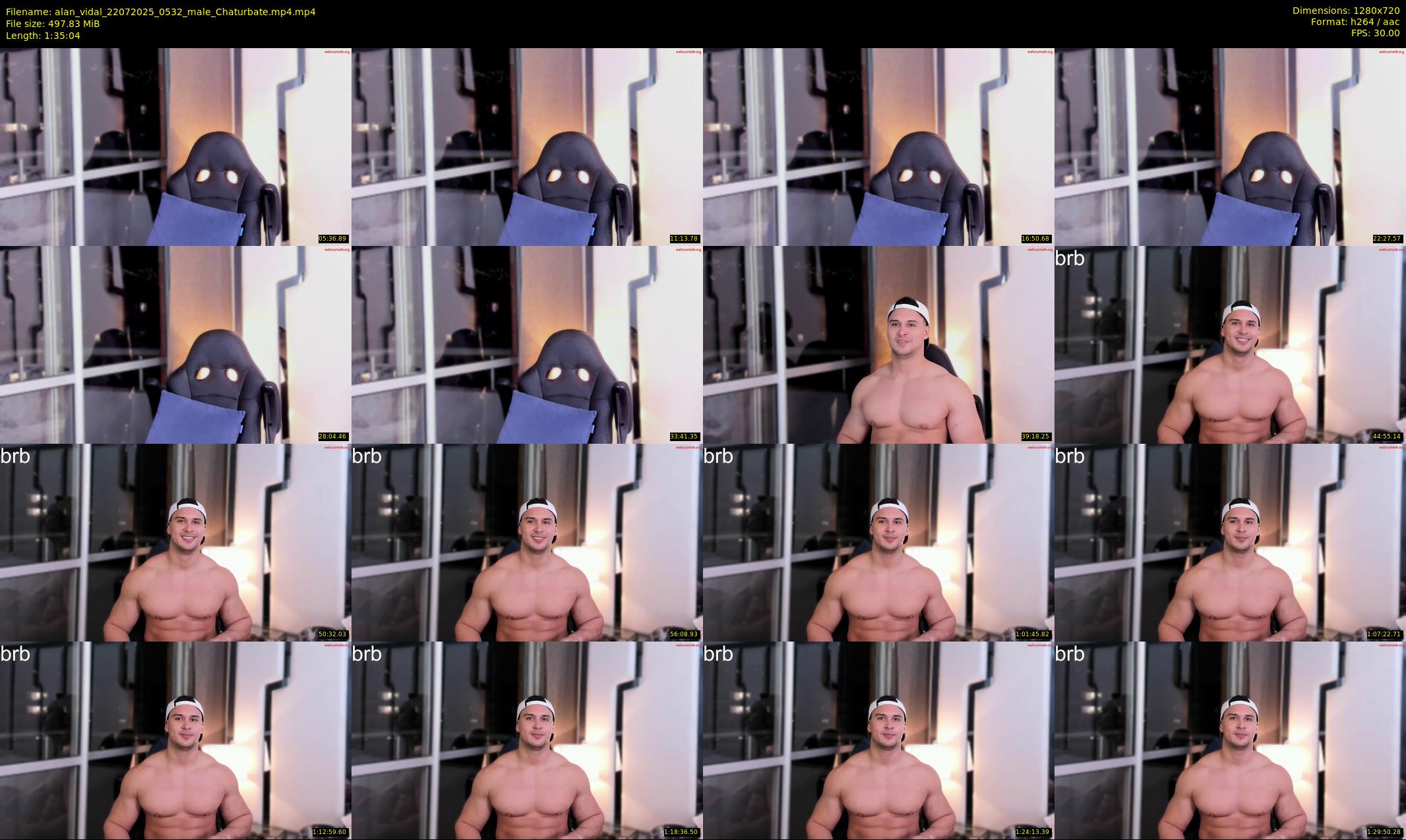 alan_vidal — 96 minute Chaturbate male cam show recording, 720p, Jul 22, 2025