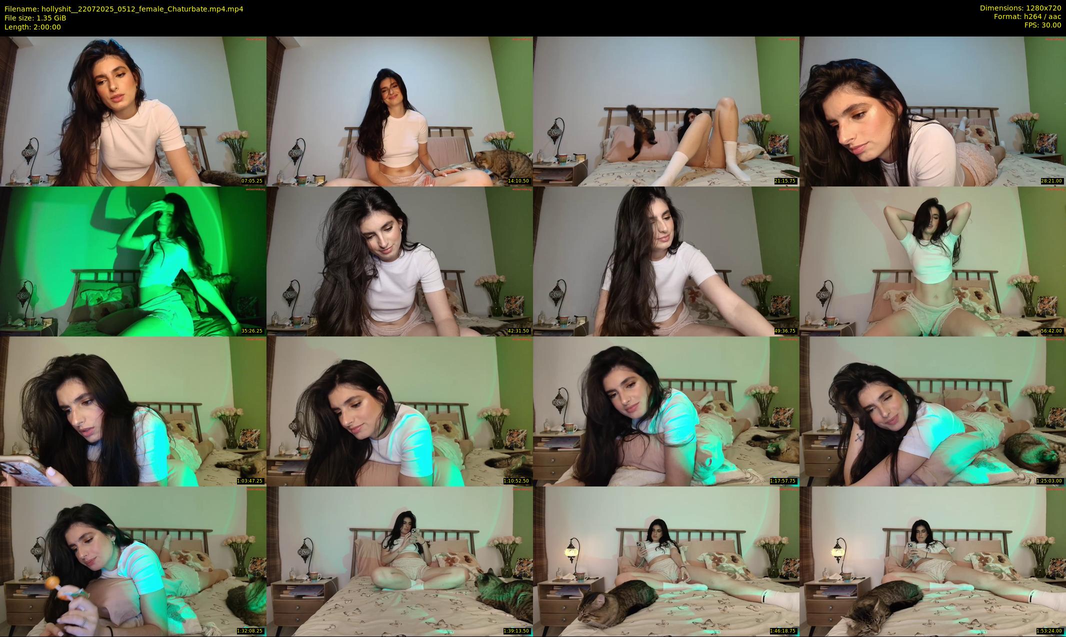 hollyshit_ — 120 minute Chaturbate female cam show recording, 720p, Jul 22, 2025