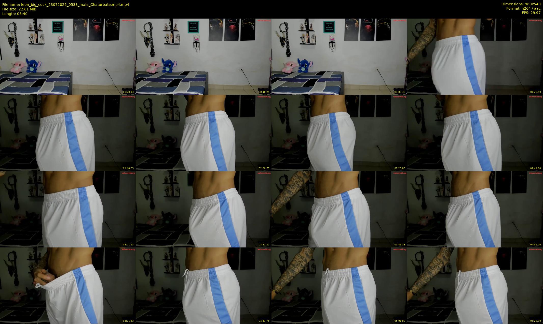 leon_big_cock — 6 minute Chaturbate male cam show recording, 480p, Jul 23, 2025