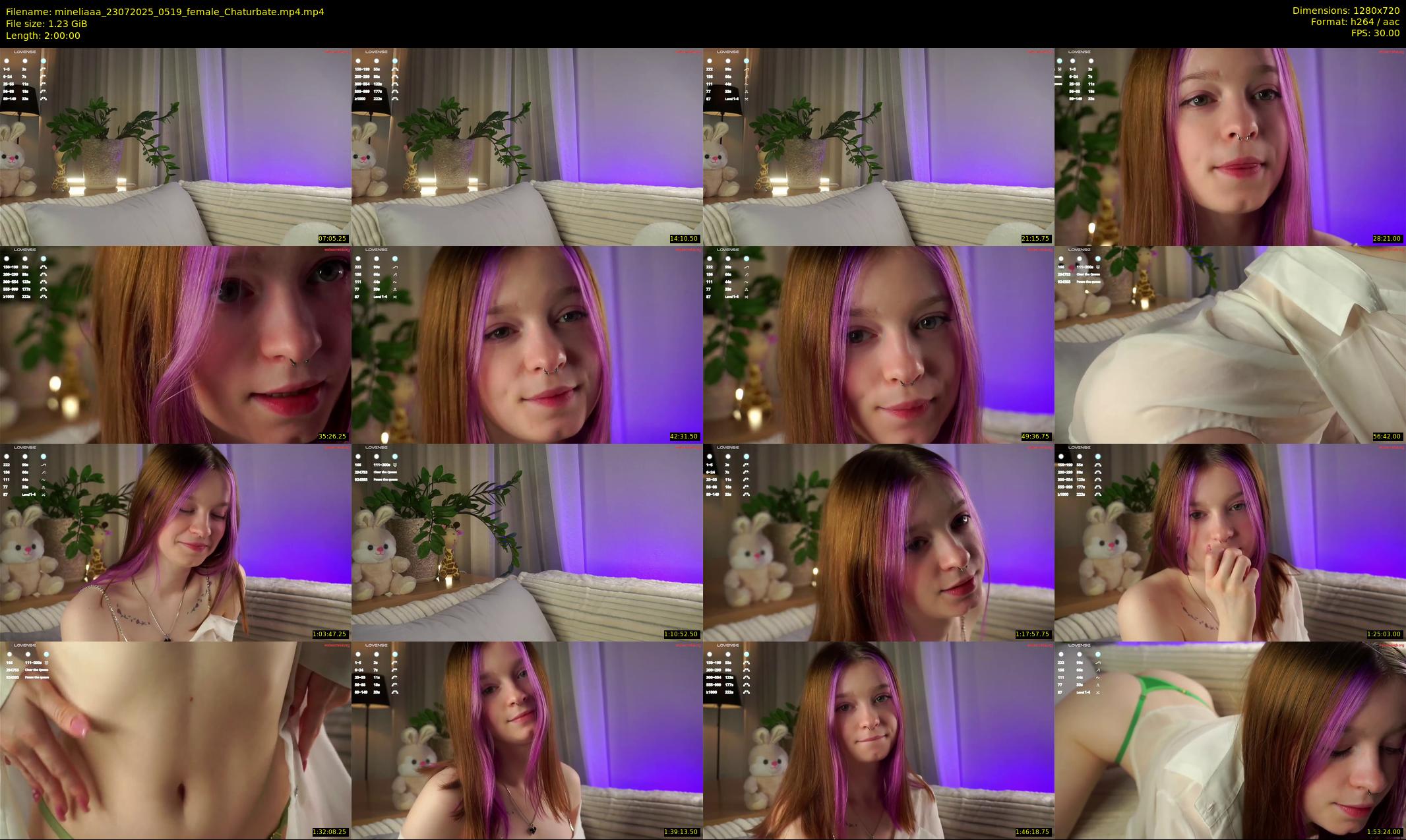 mineliaaa — 120 minute Chaturbate female cam show recording, 720p, Jul 23, 2025