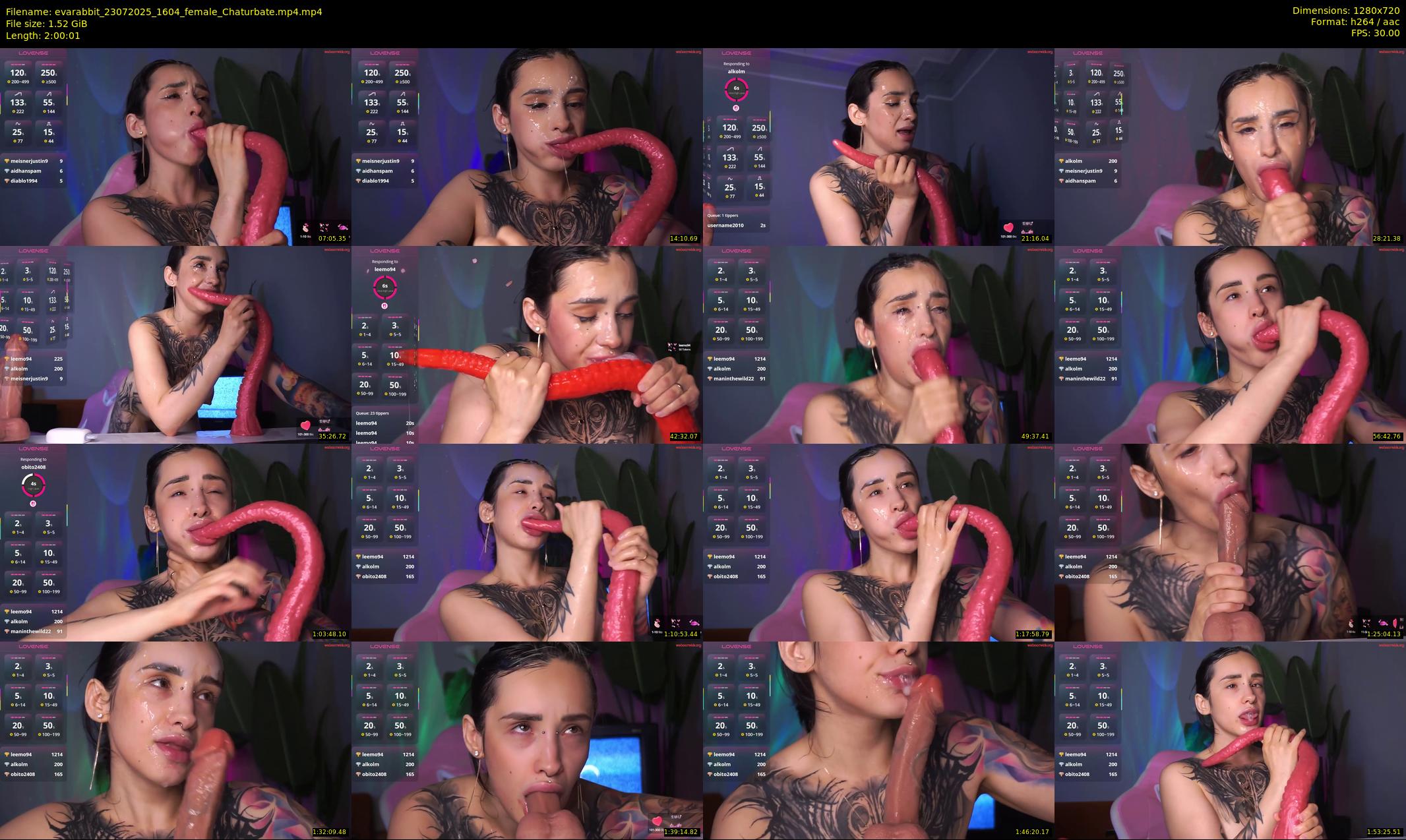 evarabbit — 121 minute Chaturbate female cam show recording, 720p, Jul 23, 2025