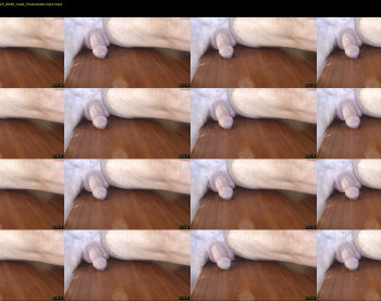 monkeyspank82 — 3 minute Chaturbate male cam show recording, 720p, Jul 24, 2025