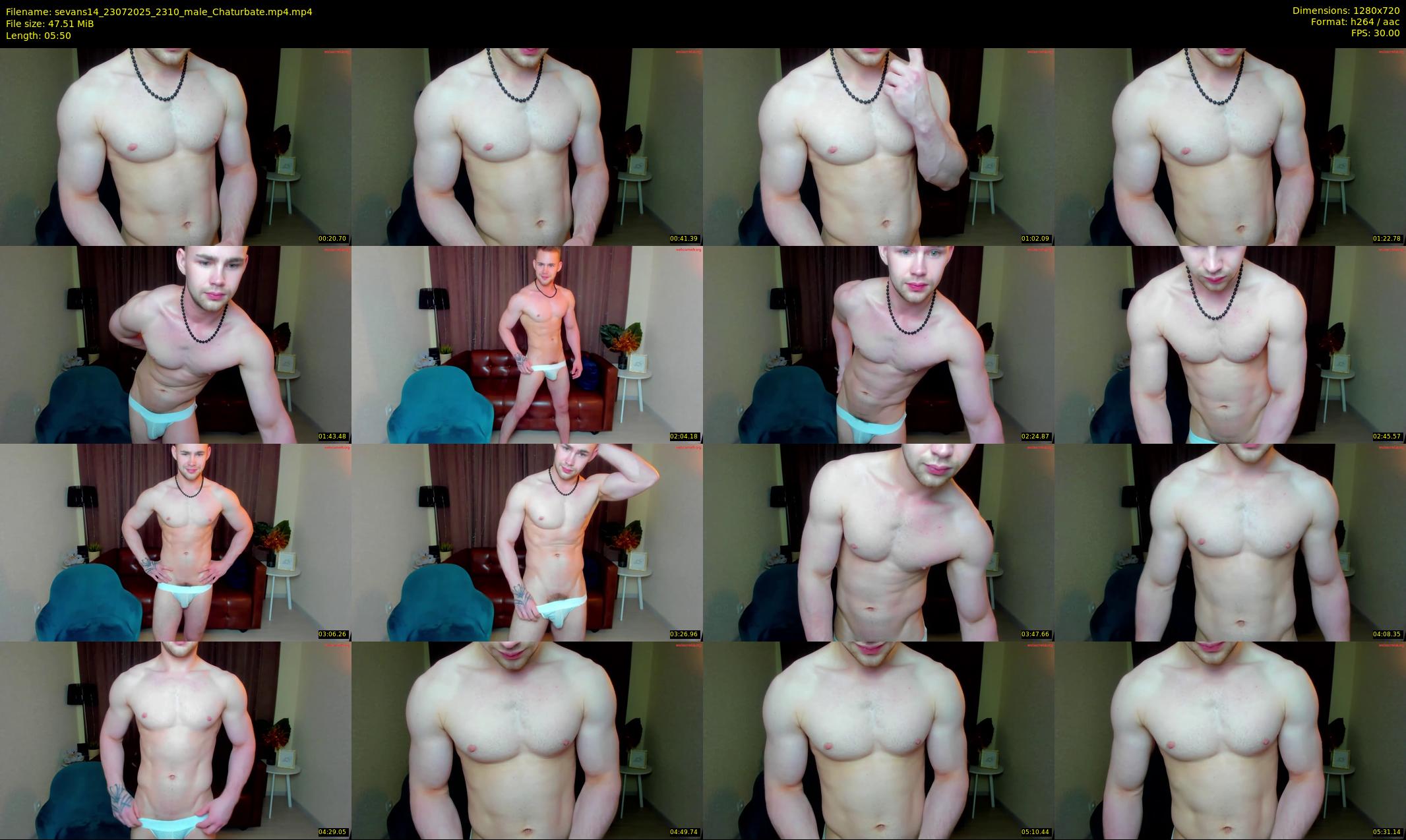 sevans14 — 6 minute Chaturbate male cam show recording, 720p, Jul 23, 2025