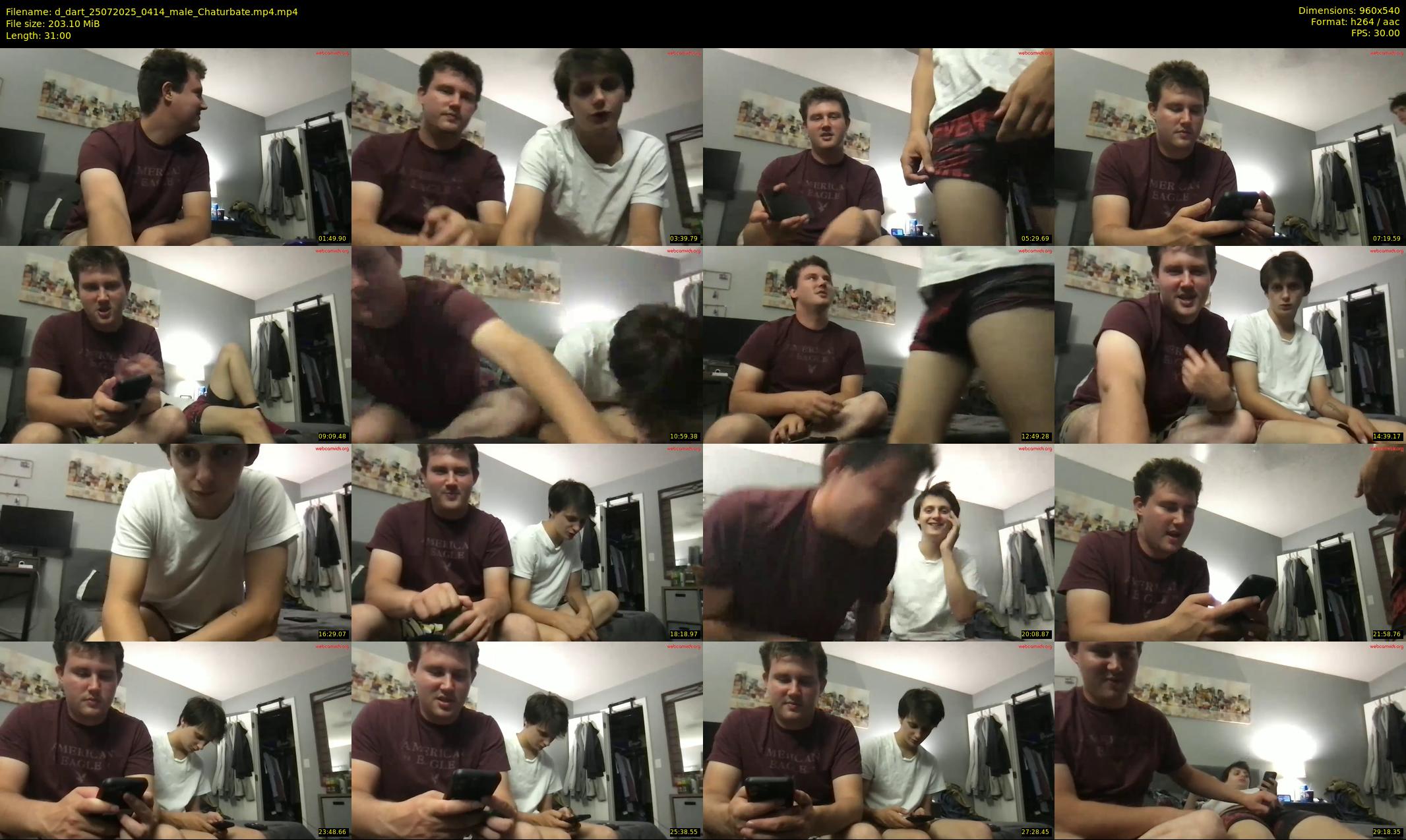 d_dart — 31 minute Chaturbate male cam show recording, 480p, Jul 25, 2025