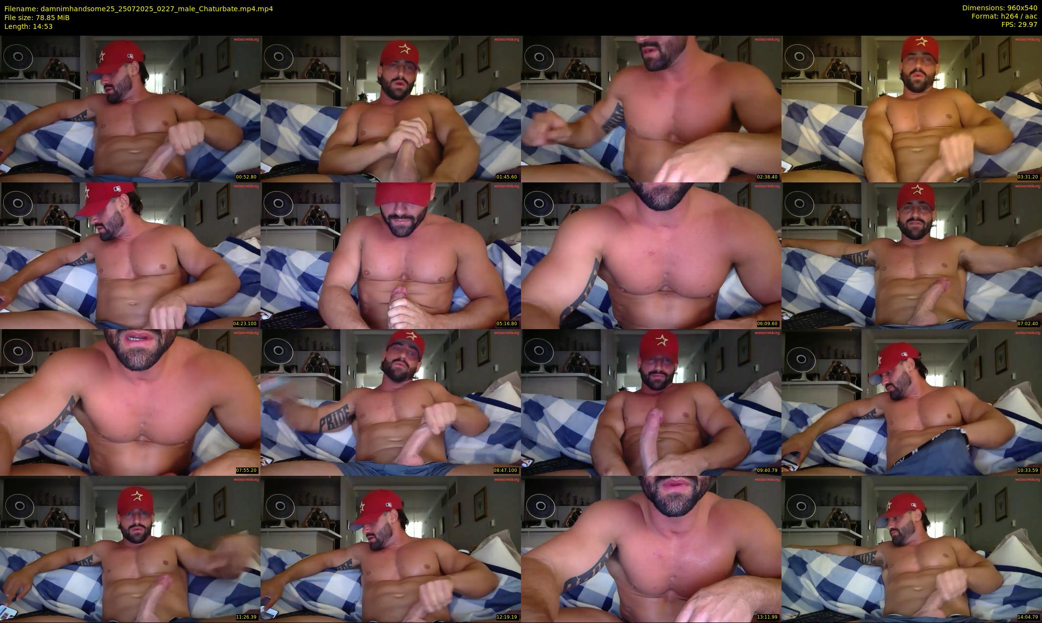 damnimhandsome25 — 15 minute Chaturbate male cam show recording, 480p, Jul 25, 2025