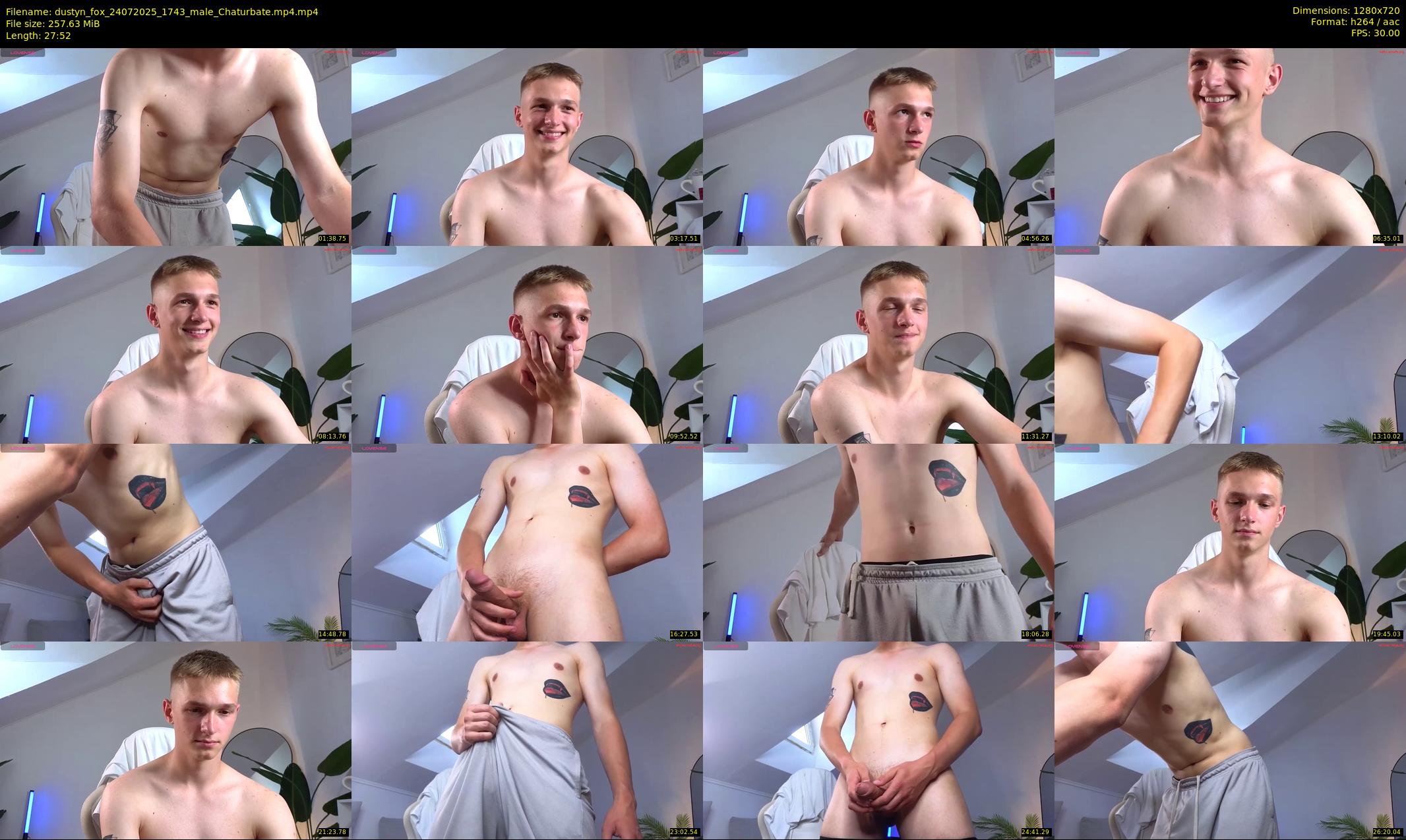 dustyn_fox — 28 minute Chaturbate male cam show recording, 720p, Jul 24, 2025