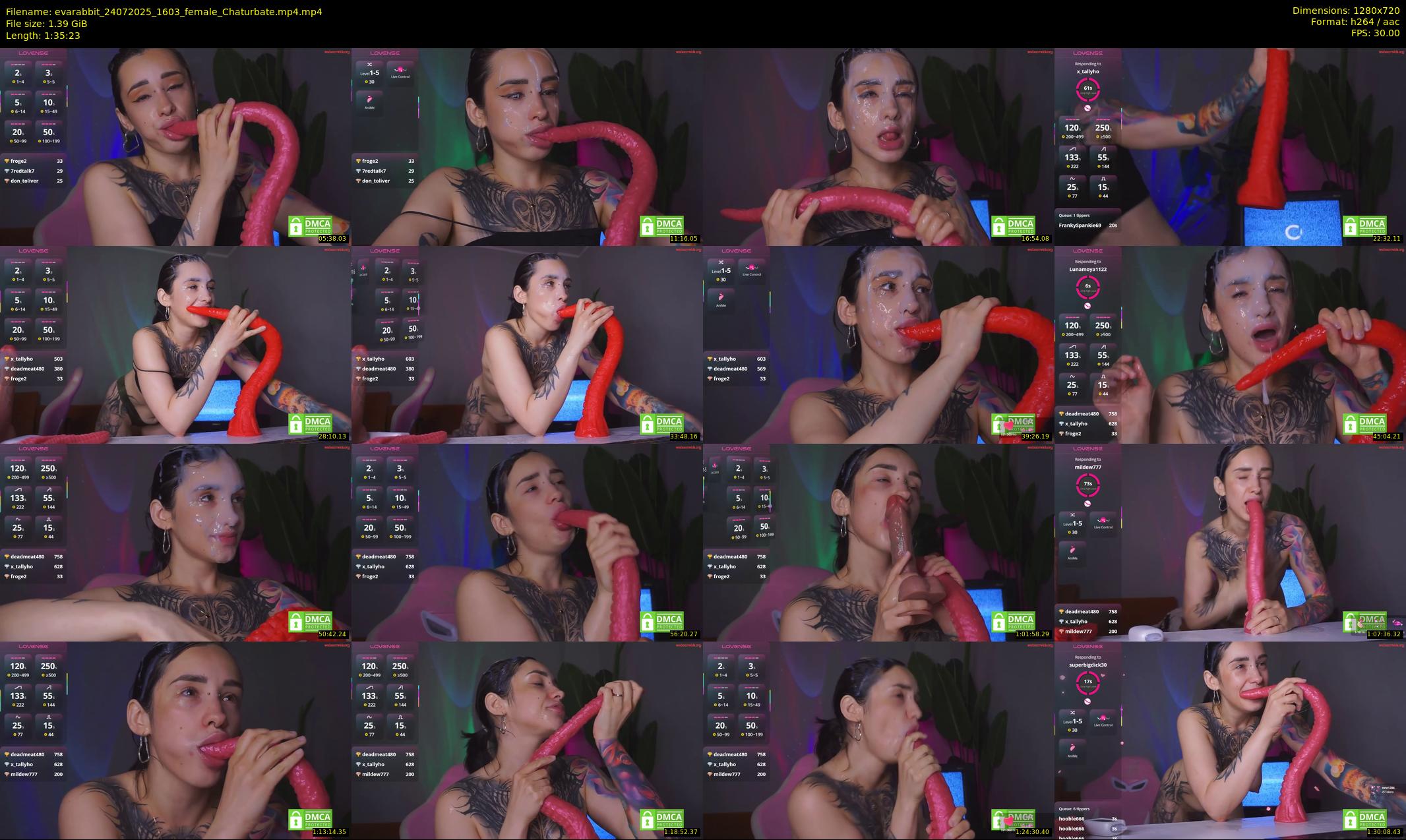 evarabbit — 96 minute Chaturbate female cam show recording, 720p, Jul 24, 2025