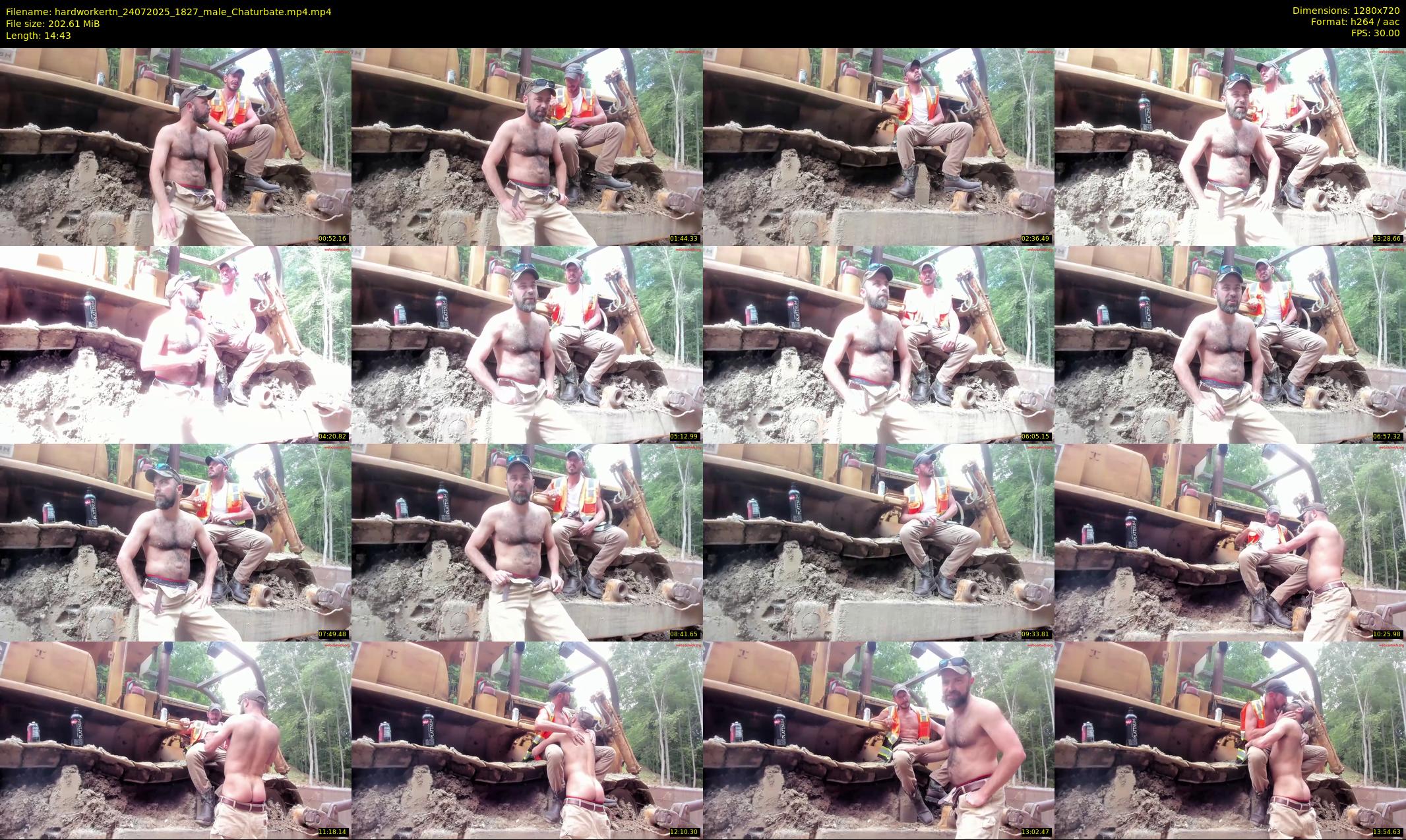 hardworkertn — 15 minute Chaturbate male cam show recording, 720p, Jul 24, 2025