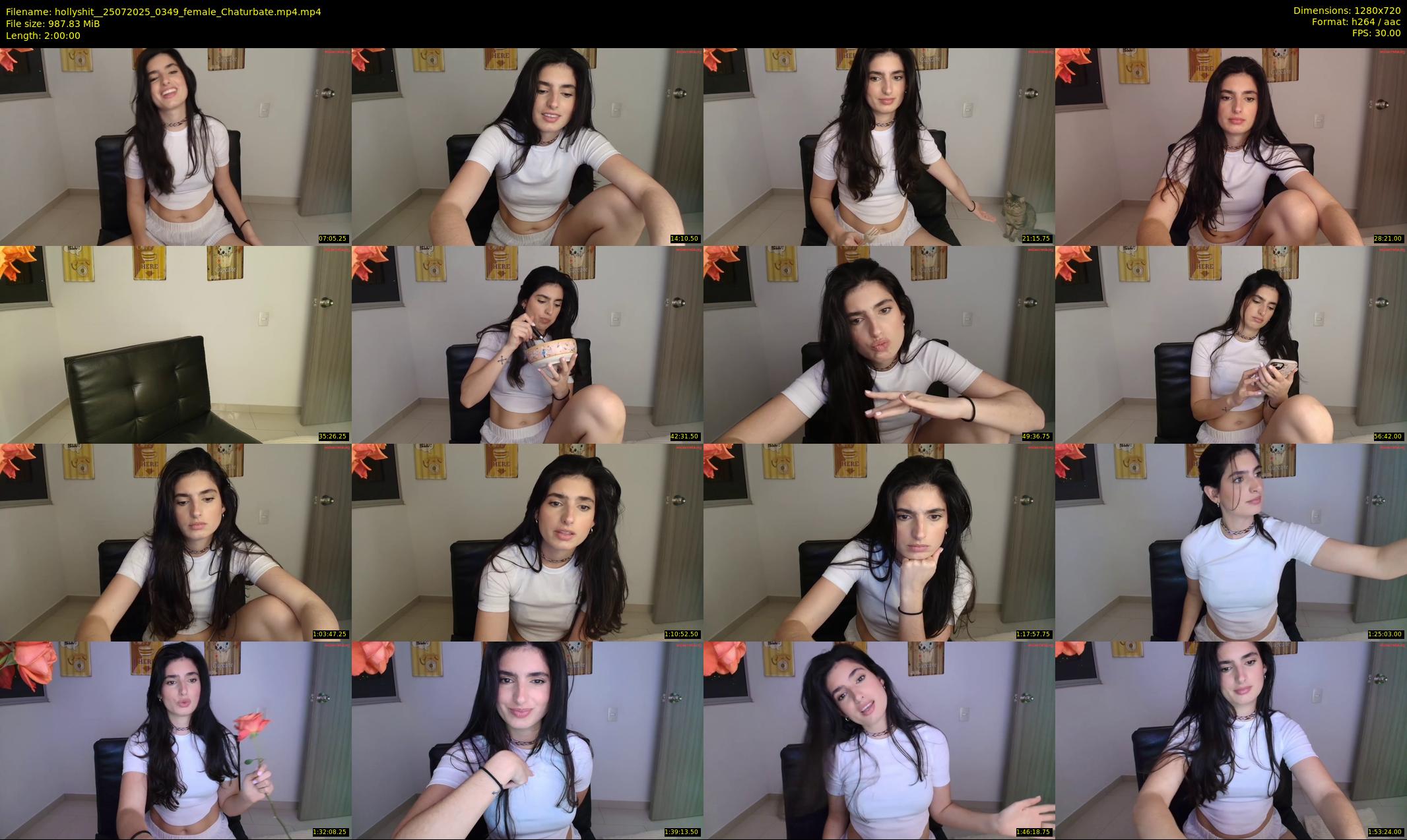 hollyshit_ — 120 minute Chaturbate female cam show recording, 720p, Jul 25, 2025