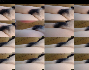 cnsgrbb — 19 minute Chaturbate female cam show recording, 720p, Jul 25, 2025