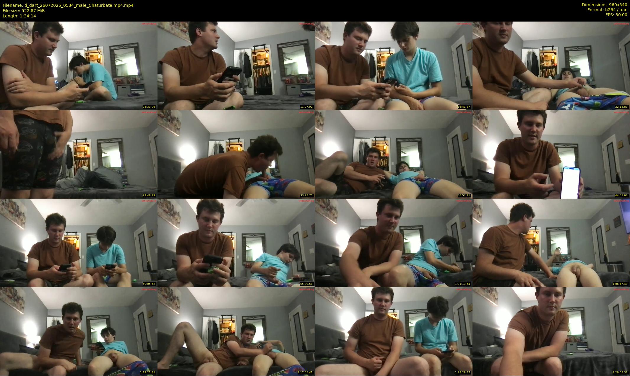 d_dart — 95 minute Chaturbate male cam show recording, 480p, Jul 26, 2025