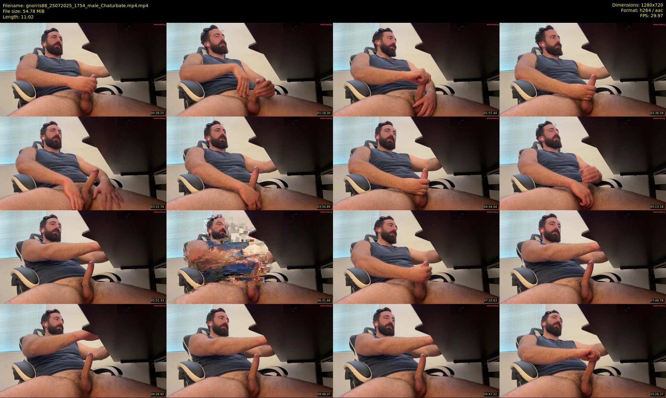 gnorris88 — 12 minute Chaturbate male cam show recording, 720p, Jul 25, 2025