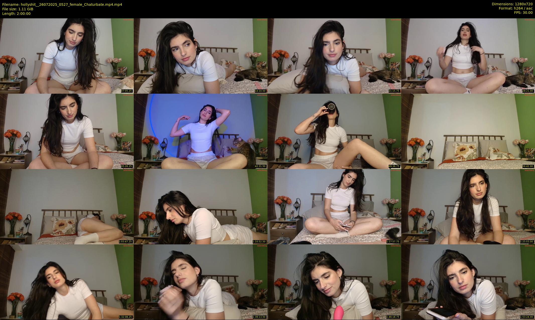 hollyshit_ — 120 minute Chaturbate female cam show recording, 720p, Jul 26, 2025