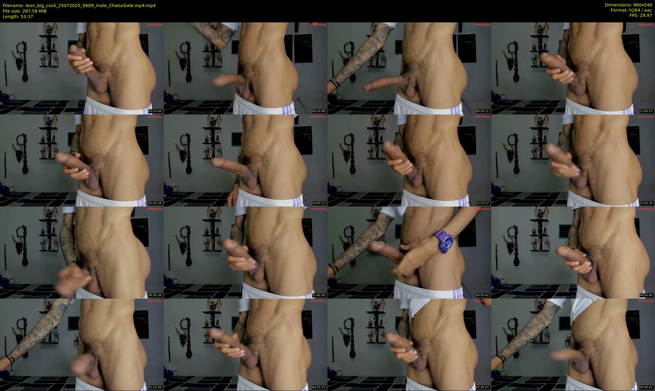 leon_big_cock — 54 minute Chaturbate male cam show recording, 480p, Jul 25, 2025