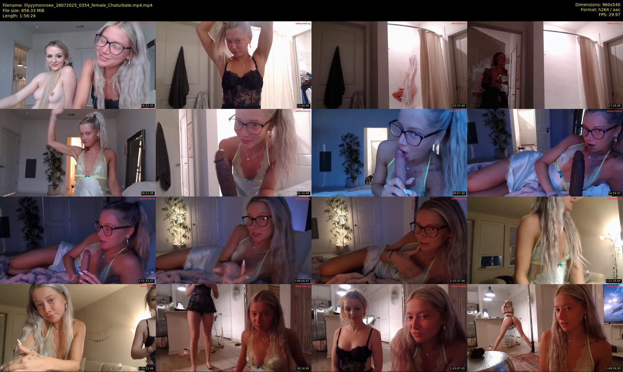 lilyyymonroee — 117 minute Chaturbate female cam show recording, 480p, Jul 28, 2025