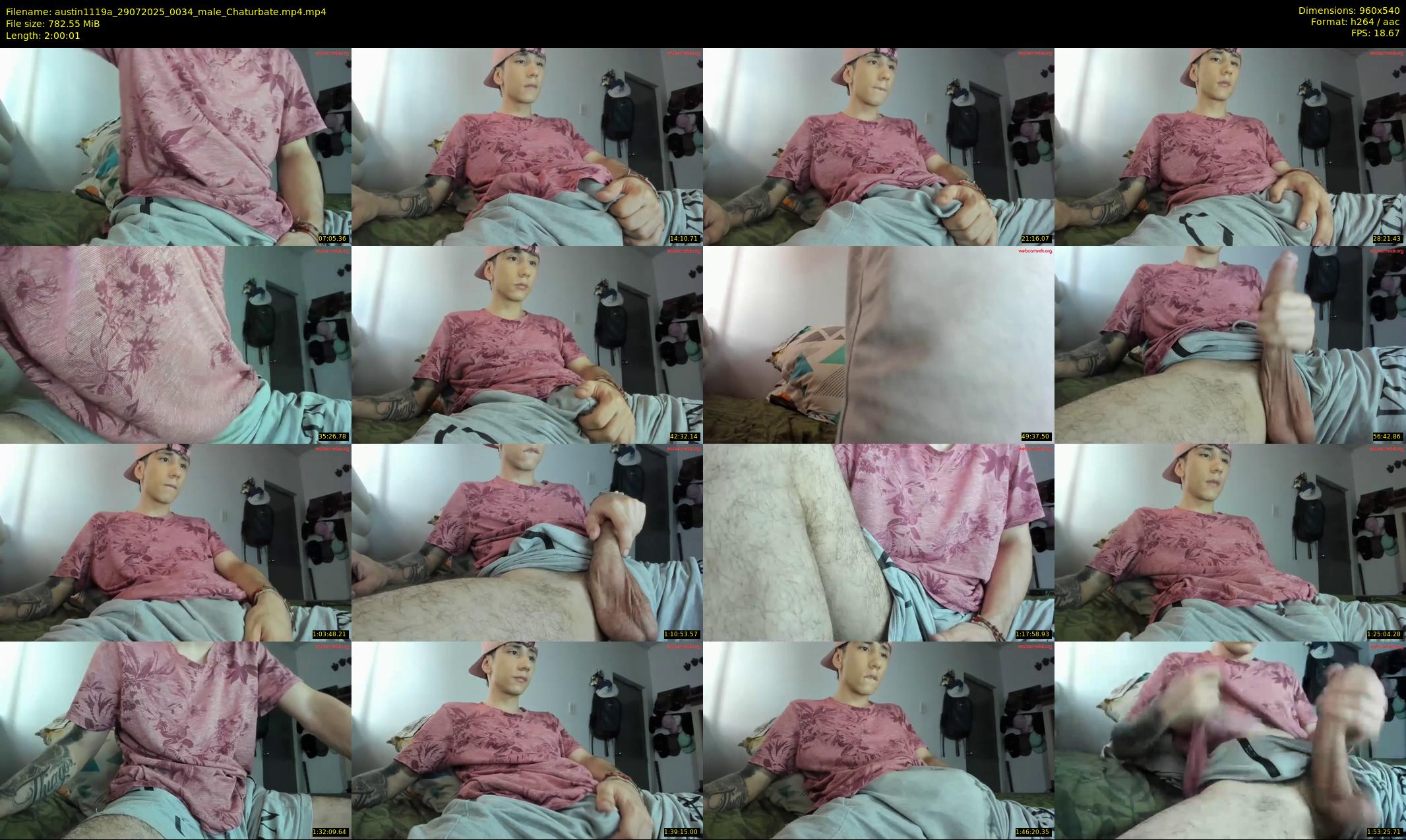 austin1119a — 121 minute Chaturbate male cam show recording, 480p, Jul 29, 2025