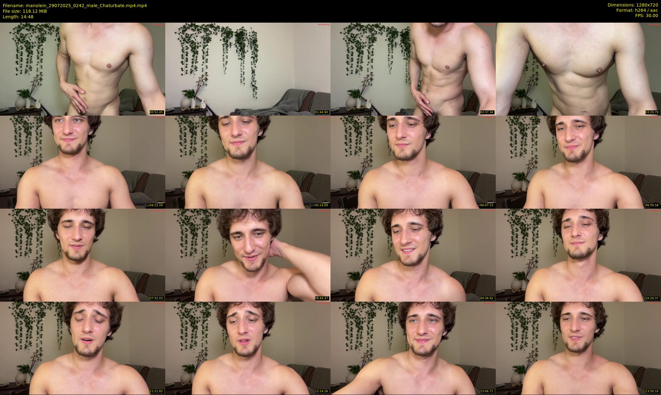 manolein — 15 minute Chaturbate male cam show recording, 720p, Jul 29, 2025