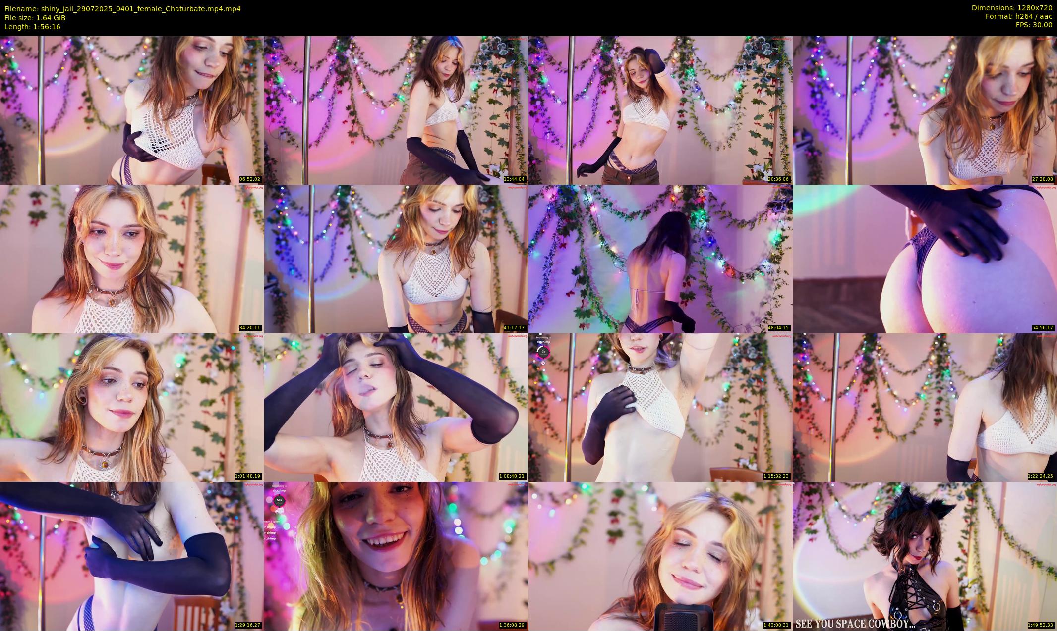 shiny_jail — 117 minute Chaturbate female cam show recording, 720p, Jul 29, 2025