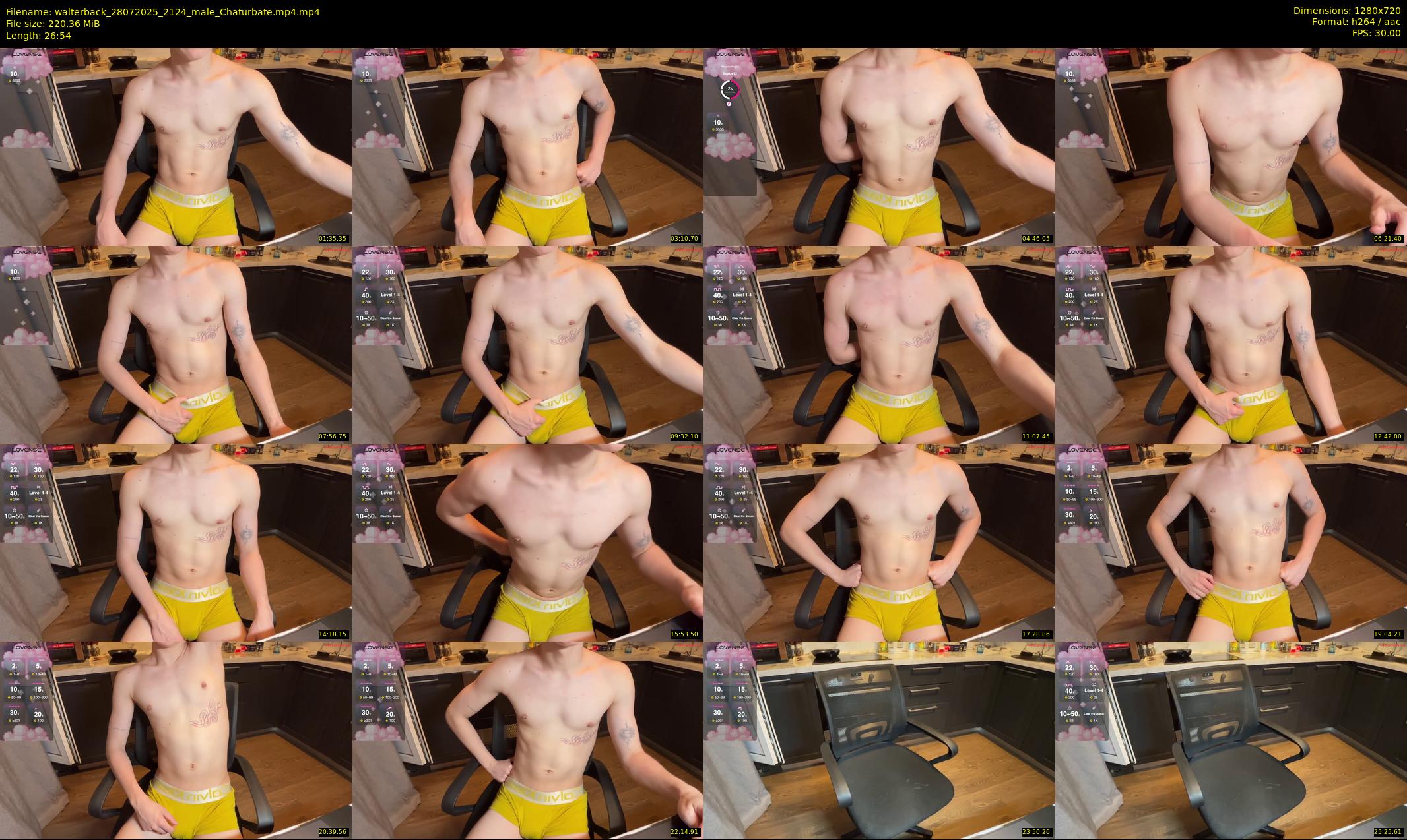 walterback — 27 minute Chaturbate male cam show recording, 720p, Jul 28, 2025
