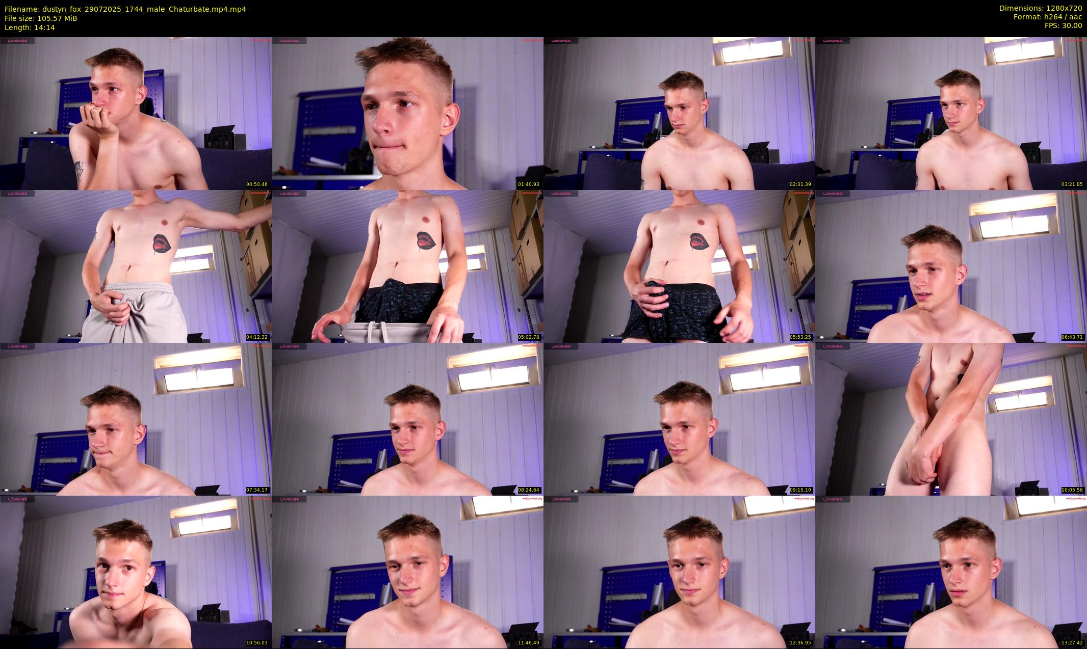 dustyn_fox — 15 minute Chaturbate male cam show recording, 720p, Jul 29, 2025