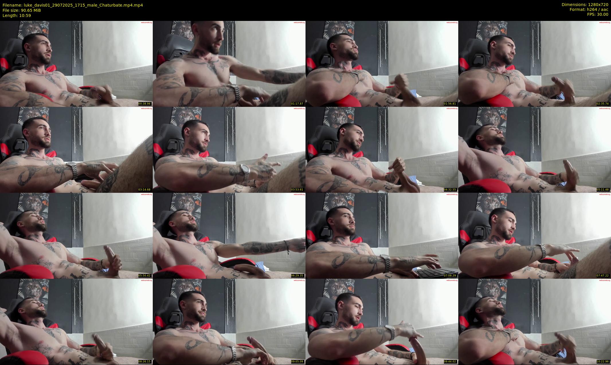 luke_davis01 — 11 minute Chaturbate male cam show recording, 720p, Jul 29, 2025