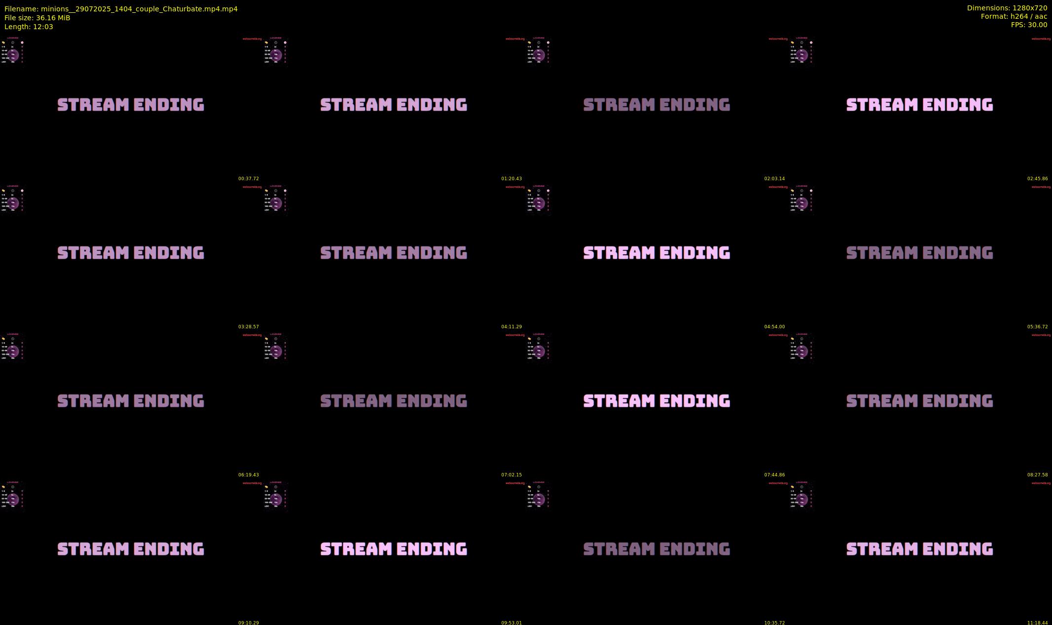 minions_ — 13 minute Chaturbate couple cam show recording, 720p, Jul 29, 2025