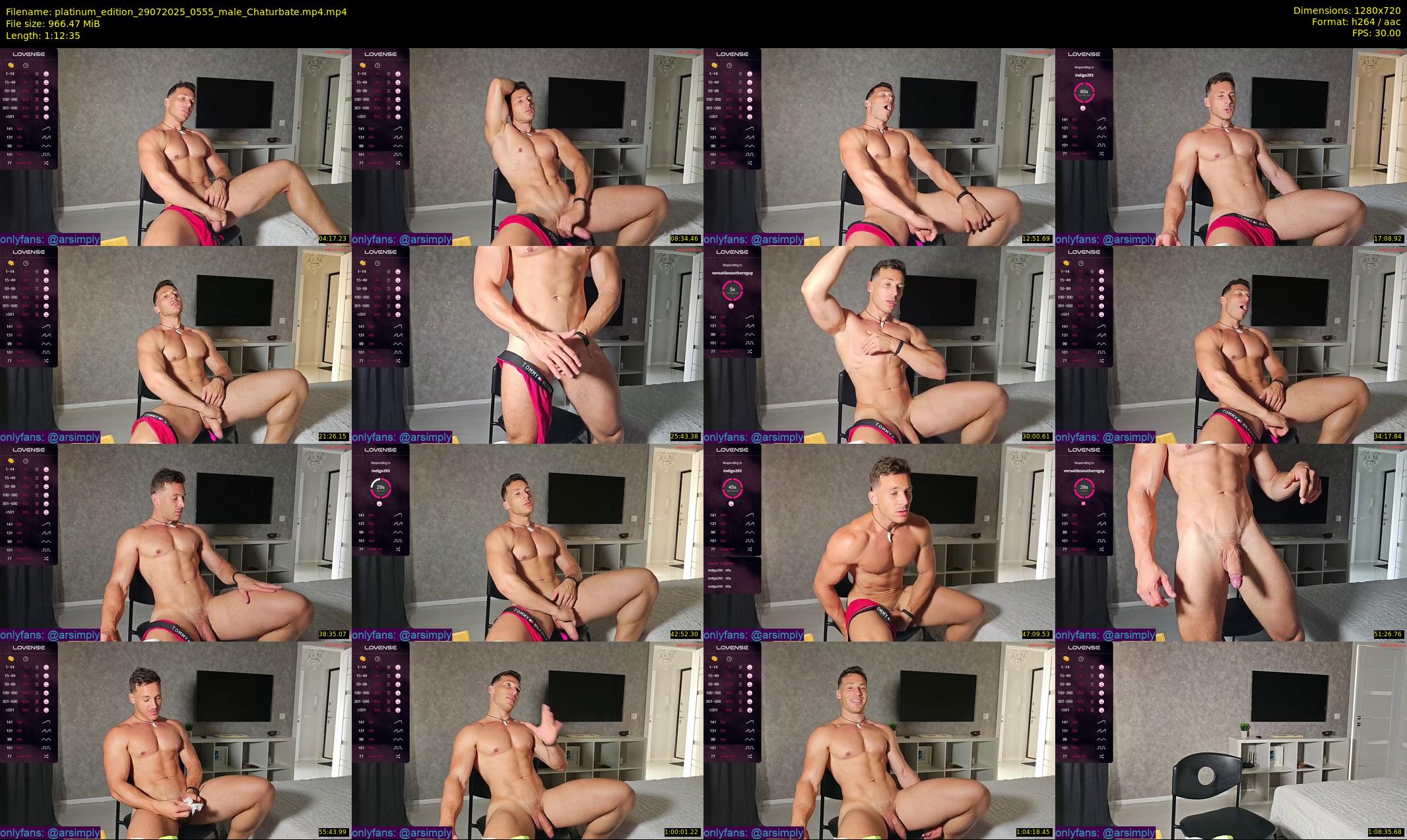 platinum_edition — 73 minute Chaturbate male cam show recording, 720p, Jul 29, 2025
