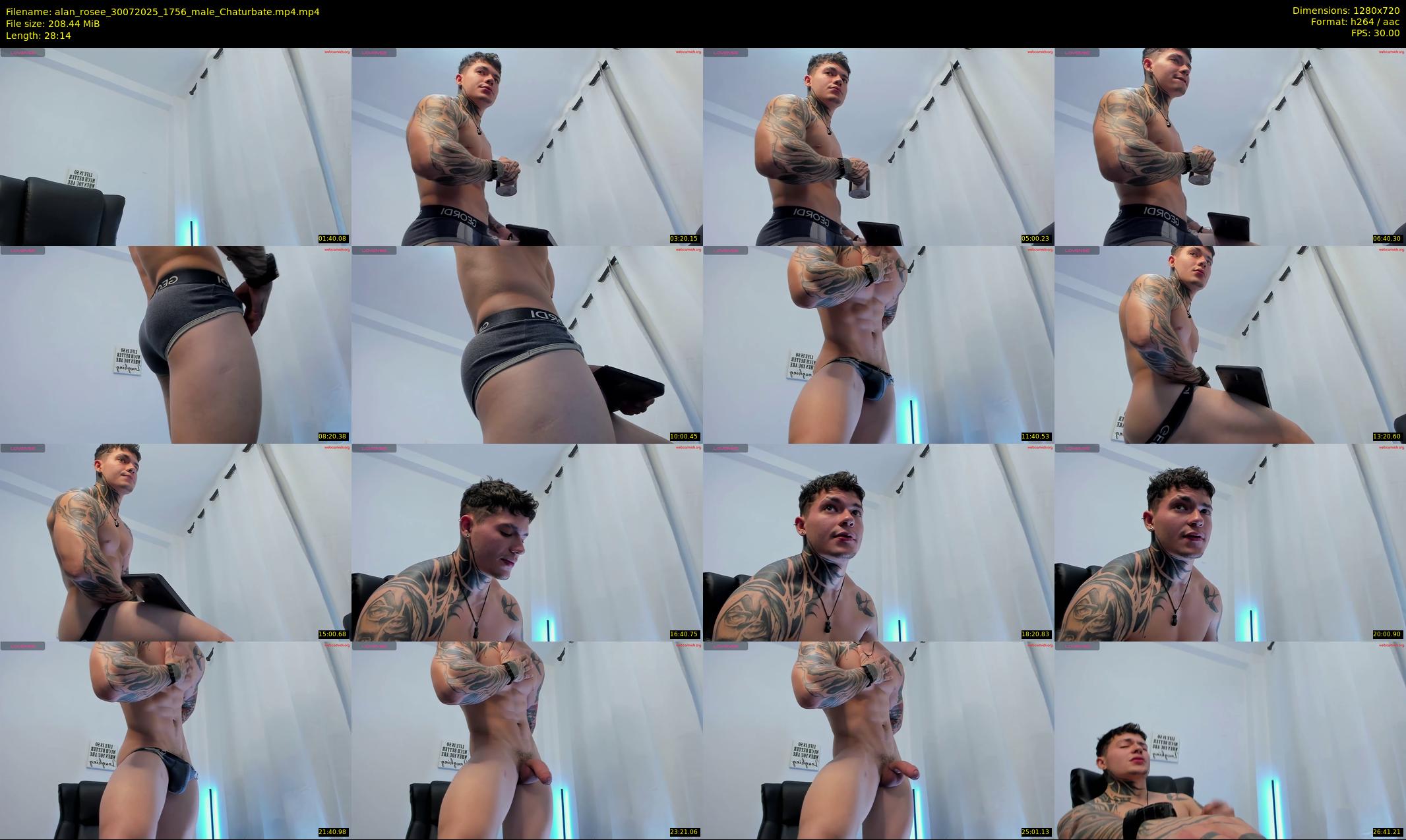 alan_rosee — 29 minute Chaturbate male cam show recording, 720p, Jul 30, 2025