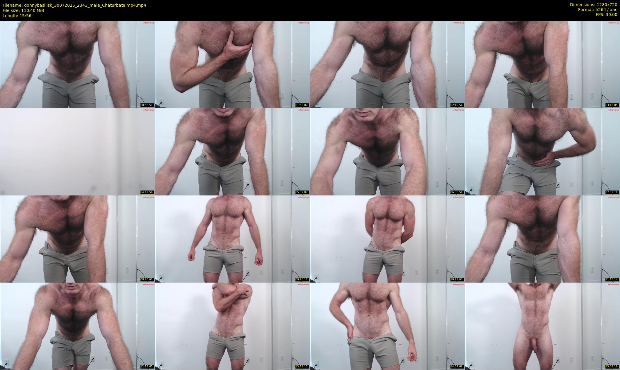 donnybasilisk — 16 minute Chaturbate male cam show recording, 720p, Jul 30, 2025
