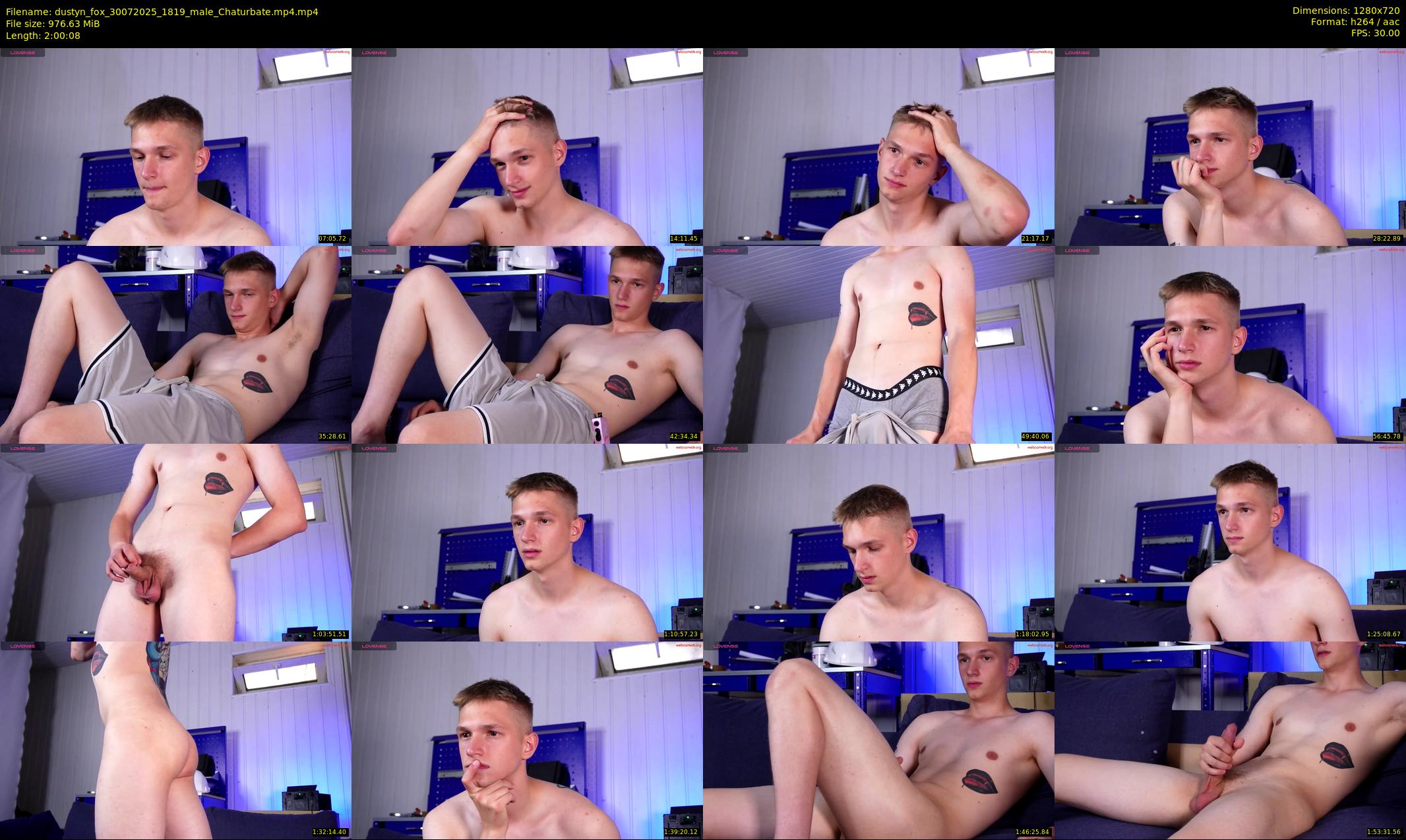 dustyn_fox — 121 minute Chaturbate male cam show recording, 720p, Jul 30, 2025