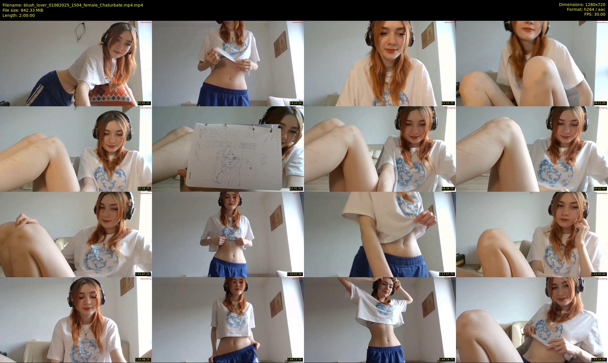 blush_lover — 120 minute Chaturbate female cam show recording, 720p, Aug 1, 2025