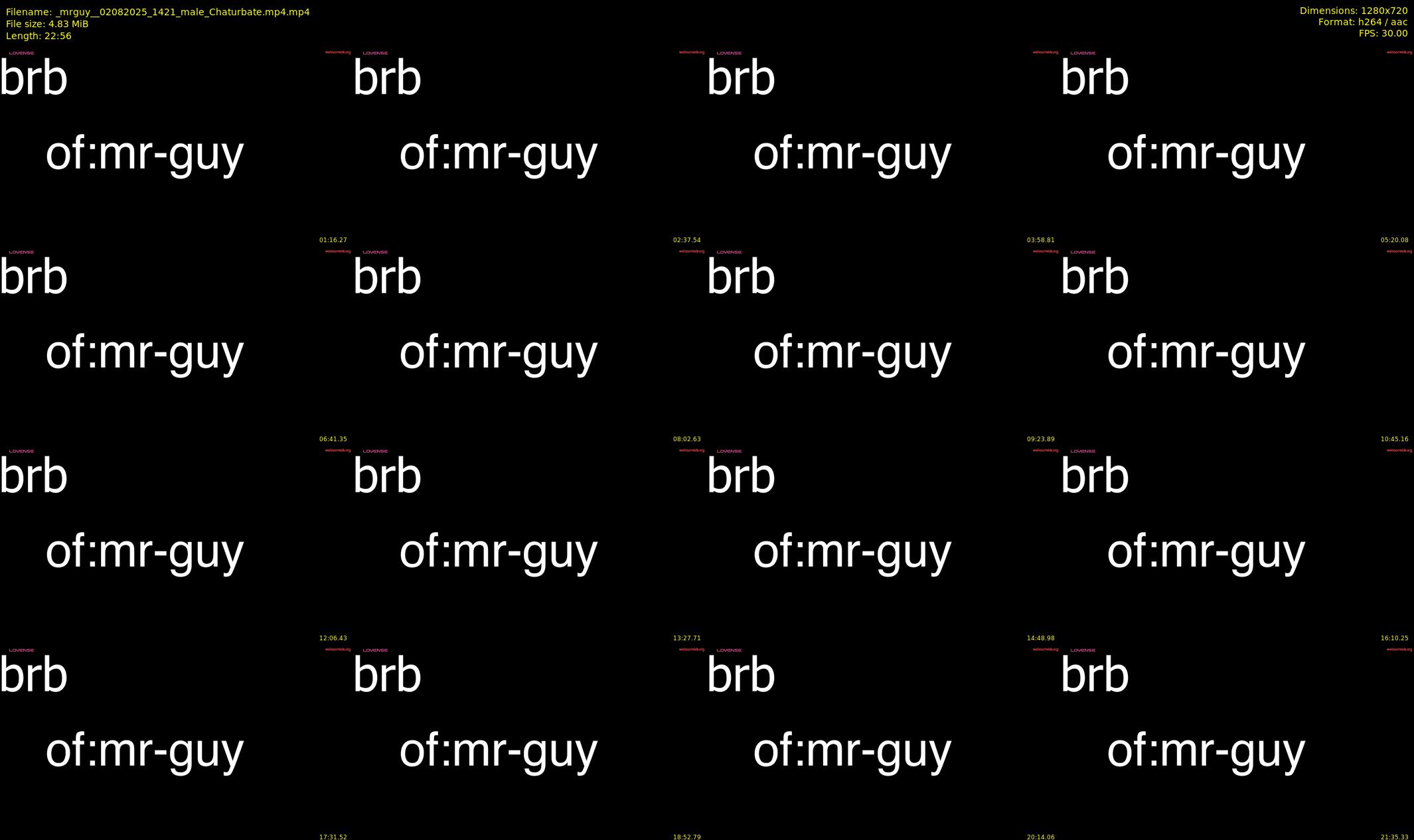 _mrguy_ — 23 minute Chaturbate male cam show recording, 720p, Aug 2, 2025