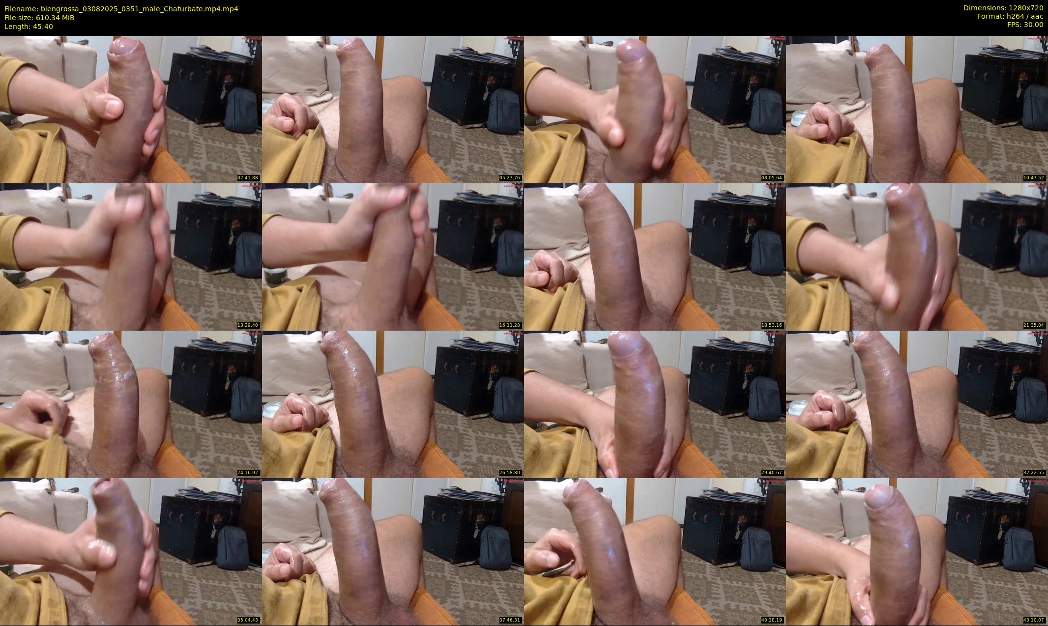biengrossa — 46 minute Chaturbate male cam show recording, 720p, Aug 3, 2025