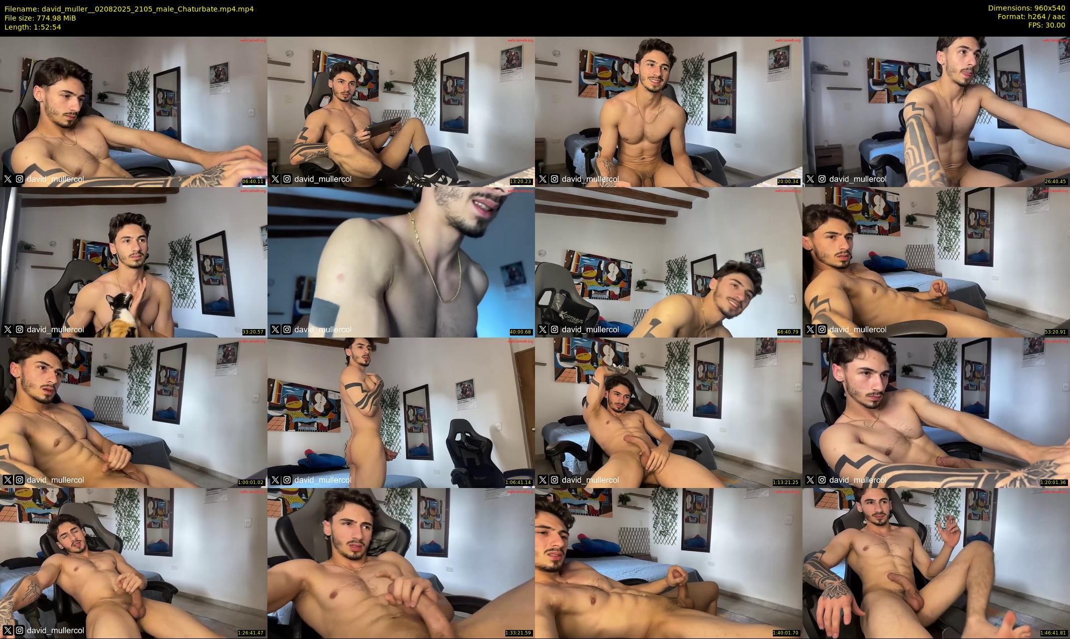 david_muller_ — 113 minute Chaturbate male cam show recording, 480p, Aug 2, 2025
