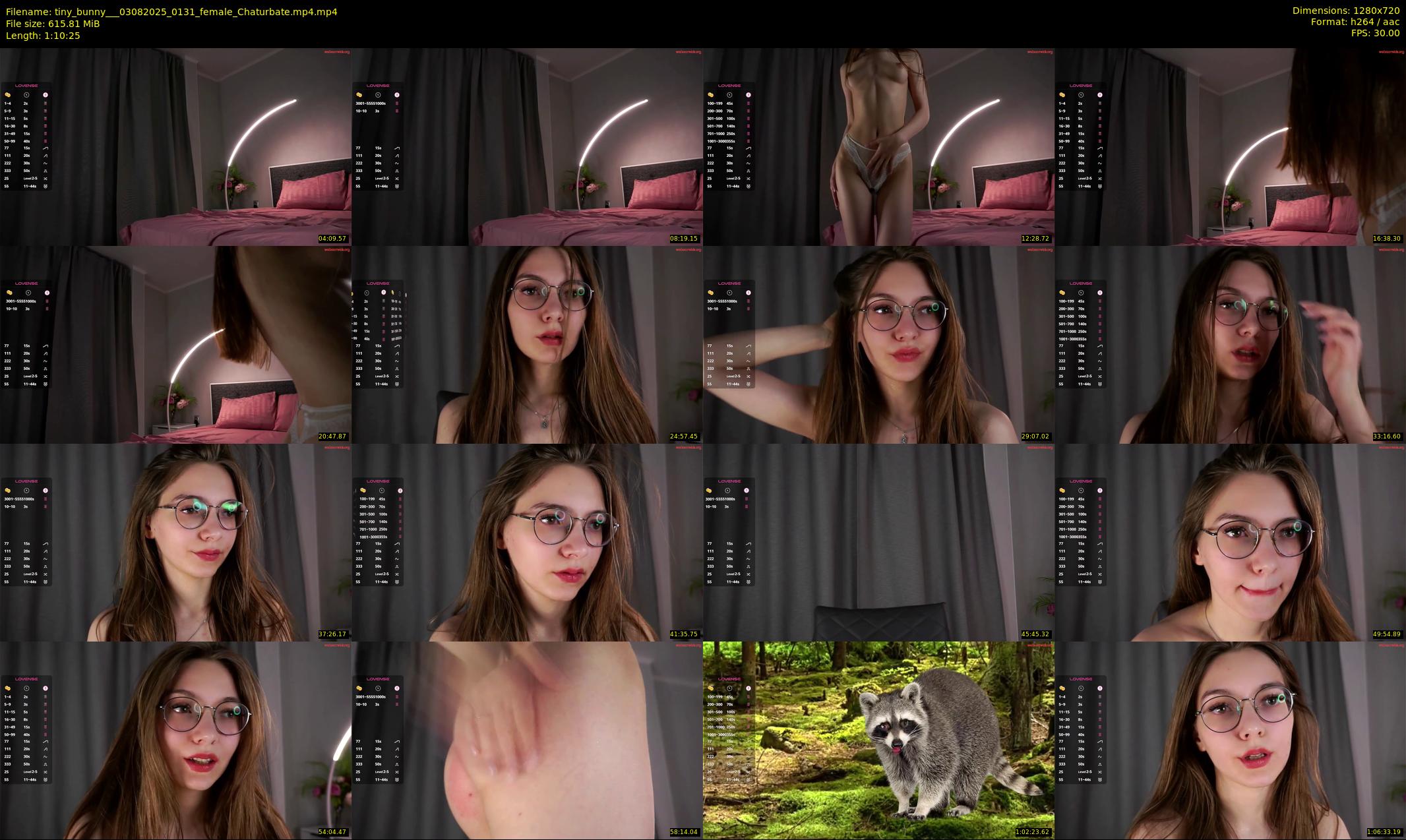 tiny_bunny__ — 71 minute Chaturbate female cam show recording, 720p, Aug 3, 2025