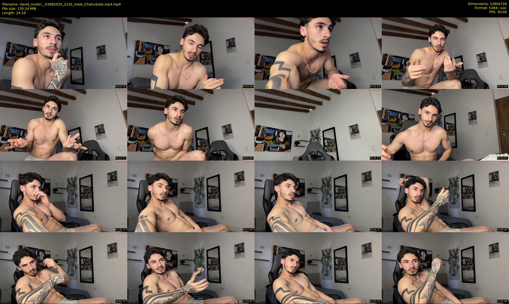 david_muller_ — 15 minute Chaturbate male cam show recording, 720p, Aug 3, 2025