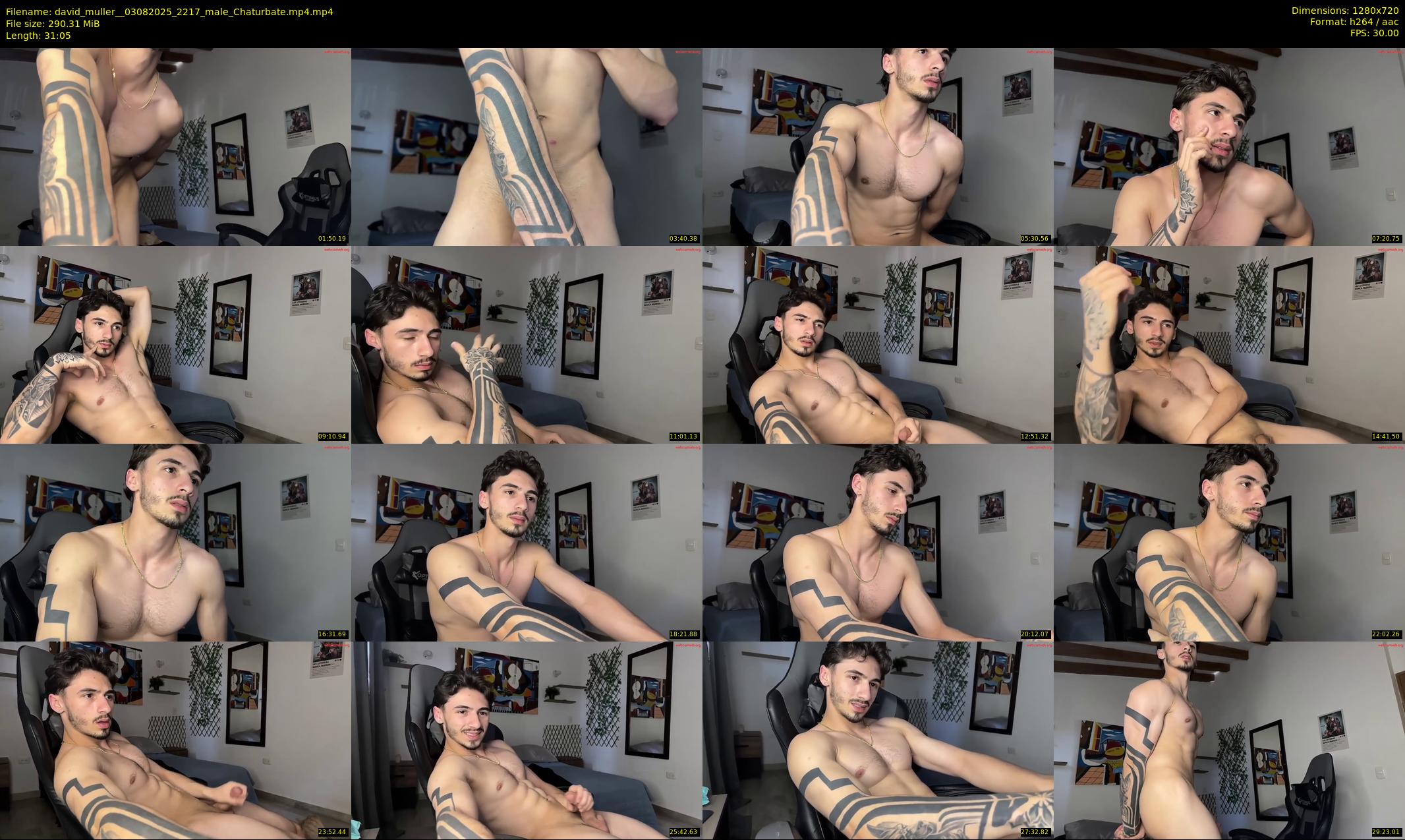 david_muller_ — 32 minute Chaturbate male cam show recording, 720p, Aug 3, 2025
