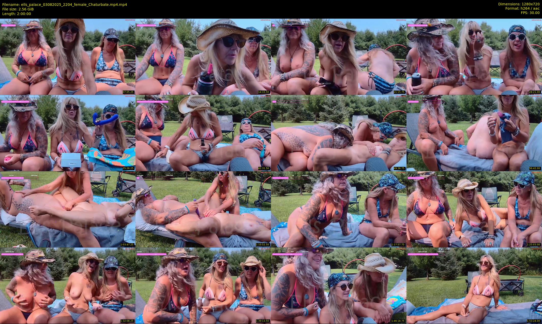 ells_palace — 120 minute Chaturbate female cam show recording, 720p, Aug 3, 2025
